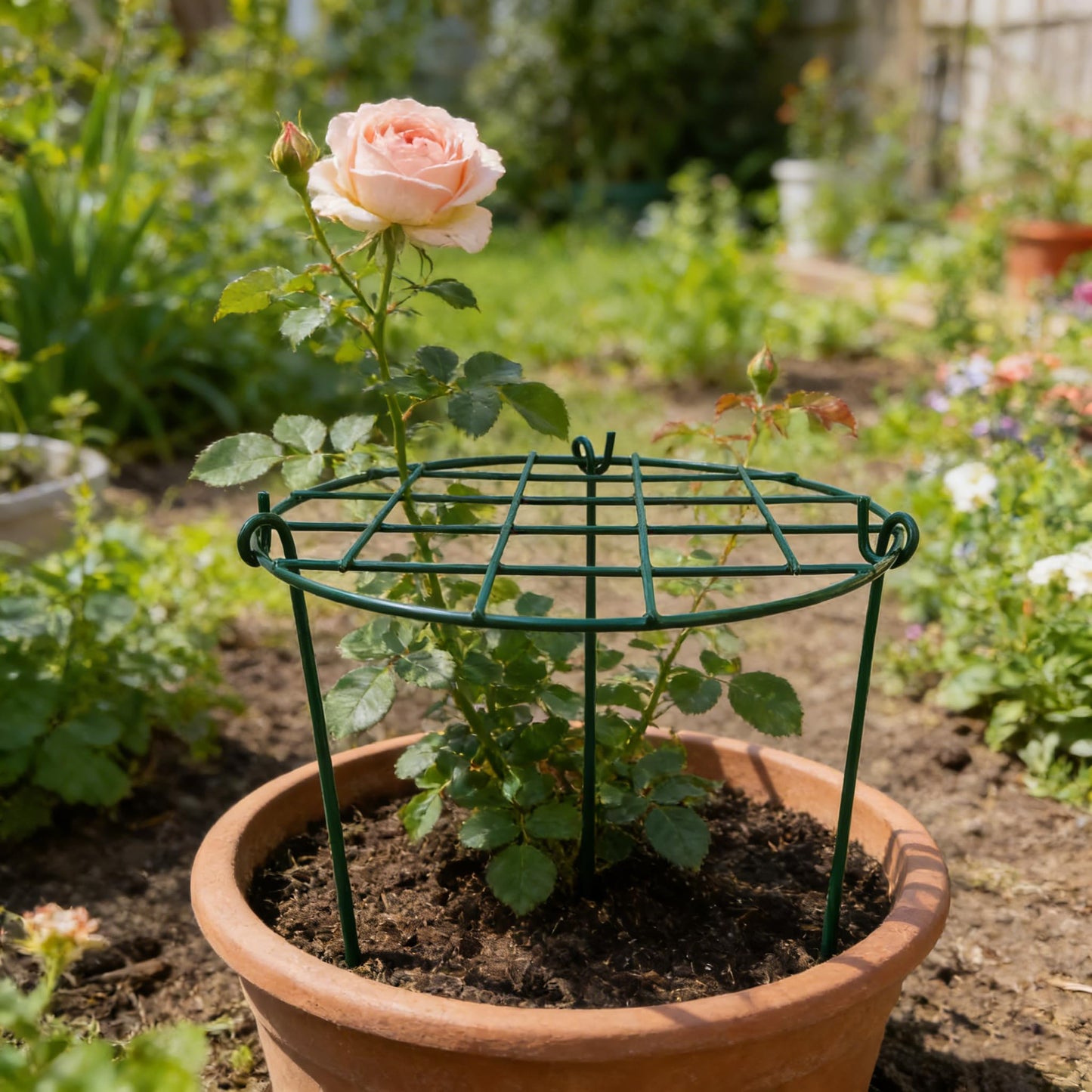 MTB Supply 5 Pack 16 x 24 inch Peony Cages,Grow Through Plant Support Stakes, Flower Support Hoops Heavy Plants Brace Rings