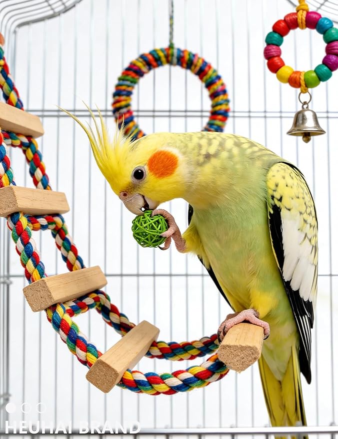 22 Pack Bell Rattan Play Balls Pet Bird Toys for Parakeets Small Birds