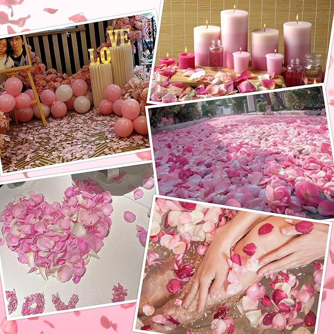 240 PCS Real Pink White Rose Flower Petals Confetti for Wedding Flower Girl to Throw 2.11oz Freeze Dried Rose Petal for Proposal Centerpieces Valentine's Day Romantic Night Decor