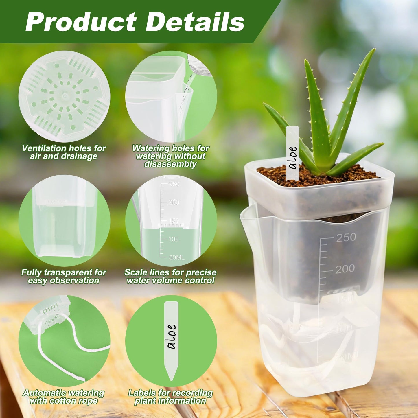 Anglecai 12 Pack Mini Self Watering Pots Set for Indoor Plants, 2.5" Small Clear Self Watering Planters with Watering Holes Plastic Flower Pot with 12 Labels, 12 Ropes