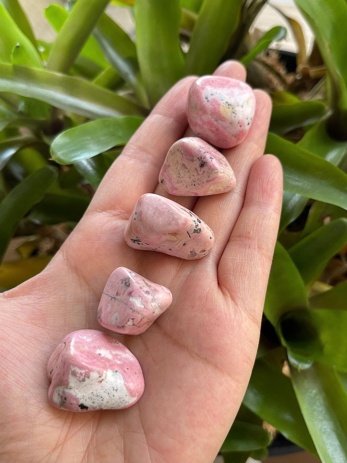 GAF TREASURES 5 Pcs Rhodonite Tumbled Stones, Polished Rhodonite Gemstone, Rhodonite Healing Crystals (Rhodonite)