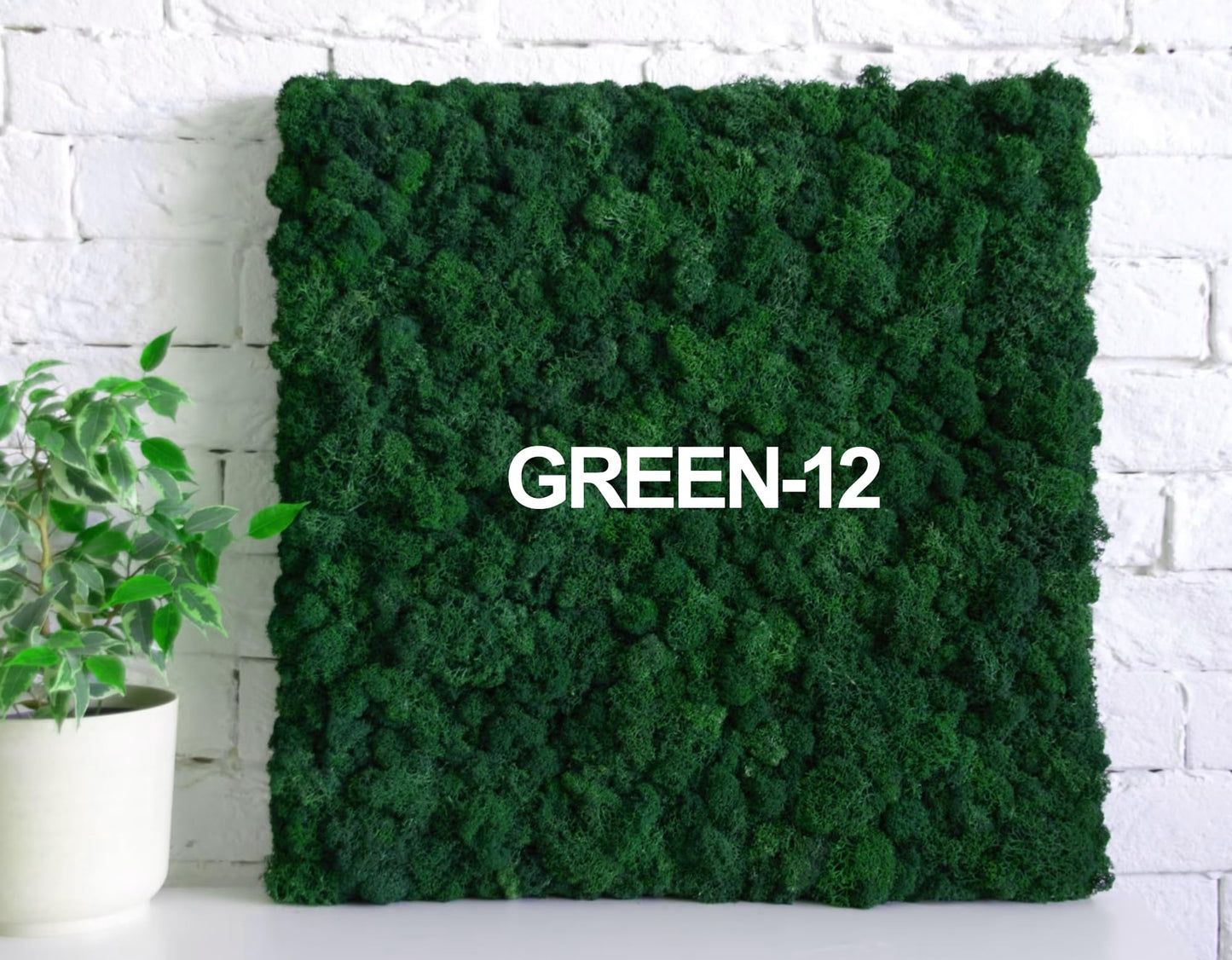 Prefleur Preserved Reindeer Craft Moss Natural DIY Kit Gardenning Art Wall Olive Green Florist Easter Table Decor Wedding(0.85lb)(Green-12)