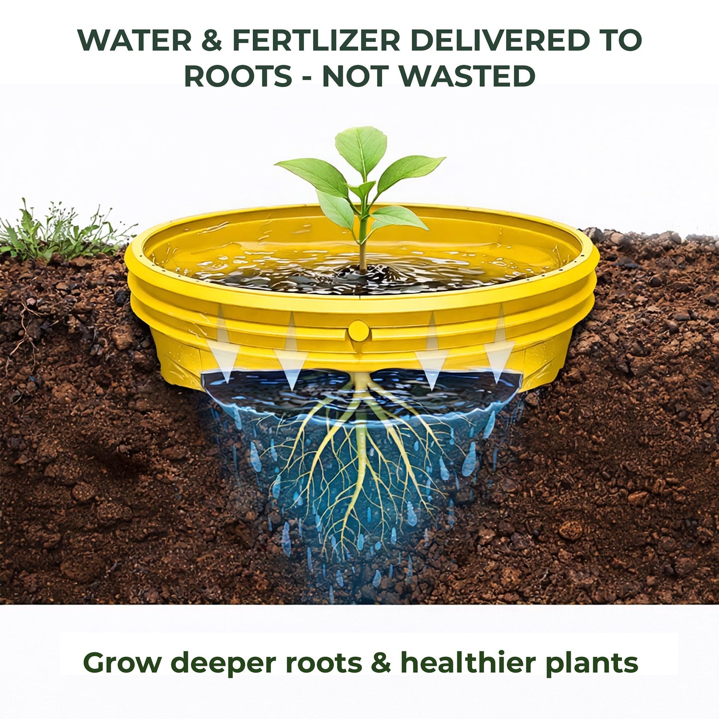 7 inch Solid Planting Grow Rings | 6 Pack Yellow | One-Piece Design for Deep Root Watering Veggies, Herbs & Flowers | Mulch & Soil Barrier | Deter Slugs and Cutworms | Heavy Duty | Made in USA