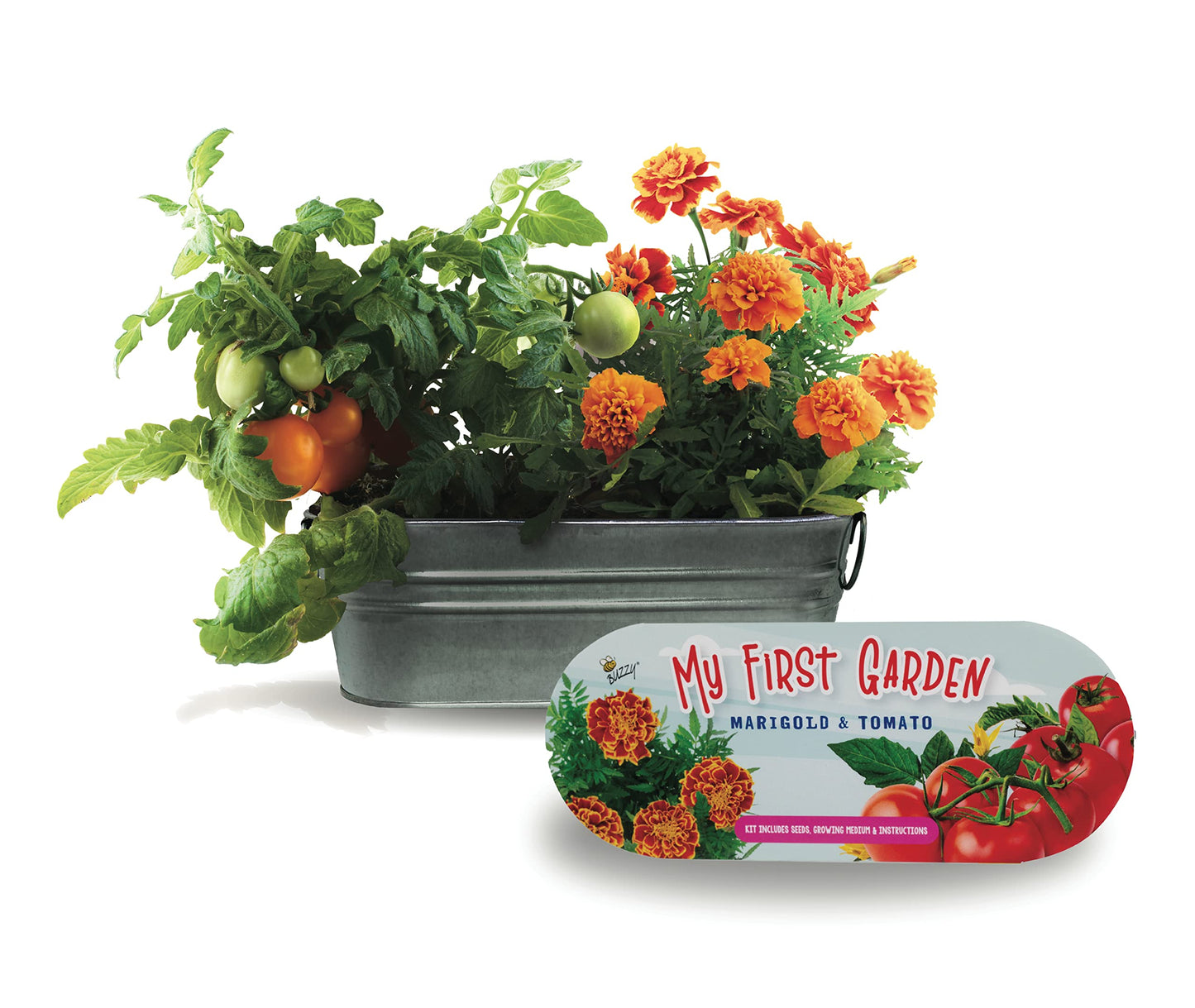 Buzzy Seeds My First Garden Windowsill Grow Kit, Tomato and Marigold Seeds, Indoor Gardening Starter Set for Beginners, Fun DIY Planting Project Gift, New Home Present