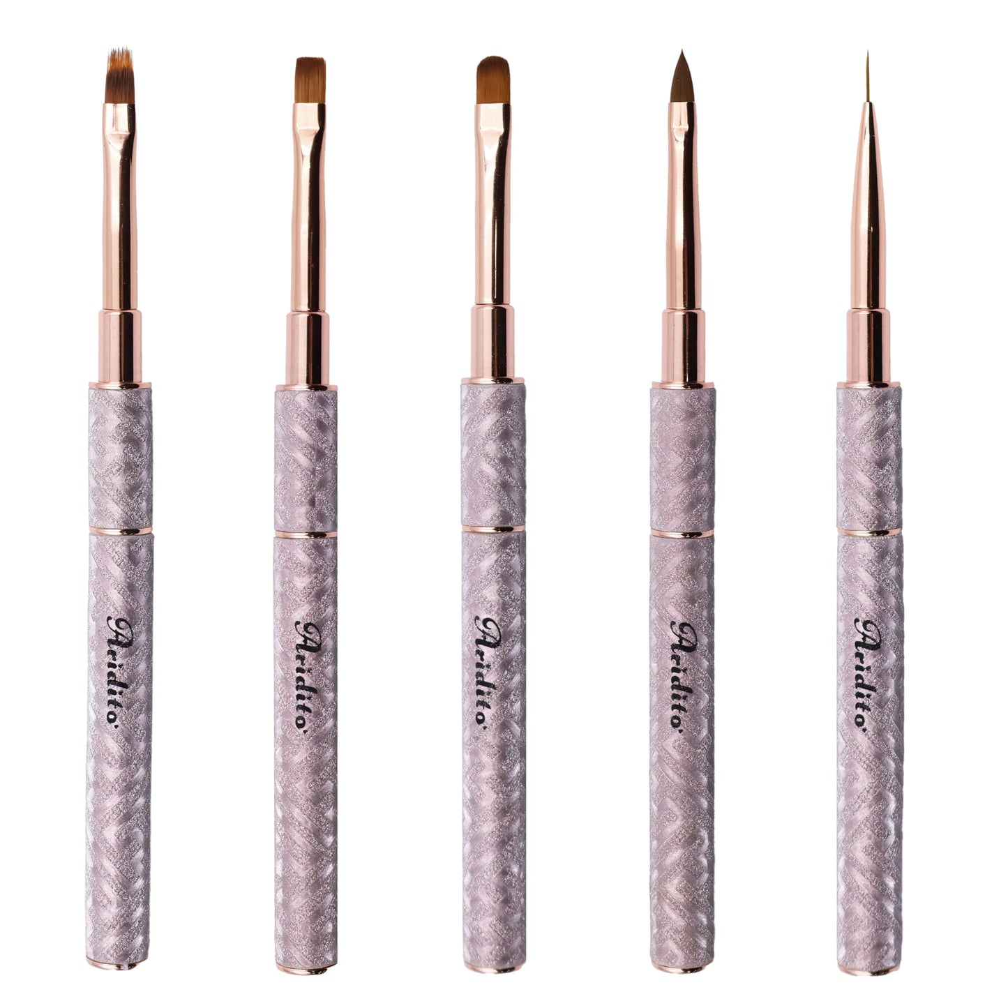 Aridito 5pcs new shiny leather case with metal handle and cap gel nail art brushes professional tools for High-end nail salon use