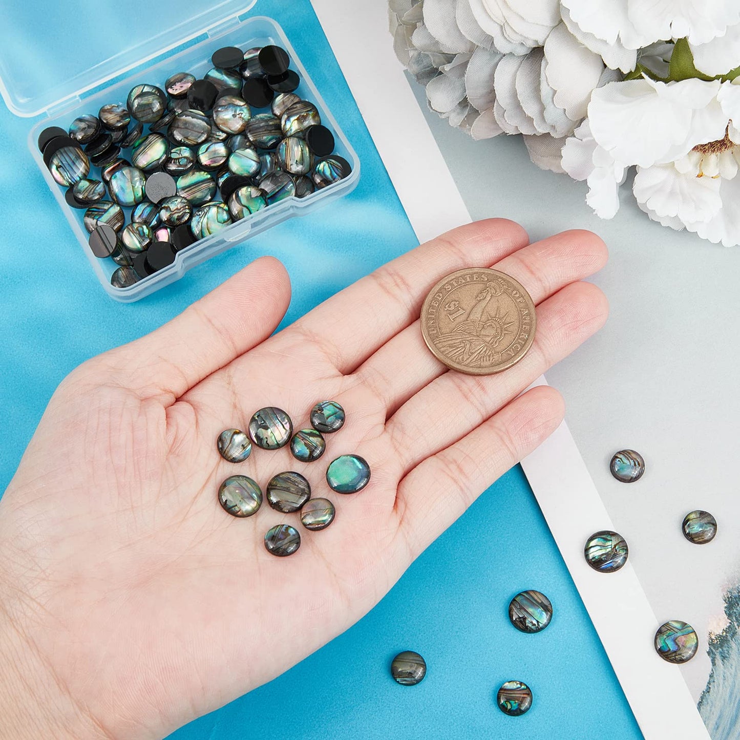 BENECREAT 90PCS Natural Abalone Shell Coin 8mm 10mm Flat Round Paua Shell Cabochons Beads with Storage Containers for Photo Frames, Clay Cups Decoration