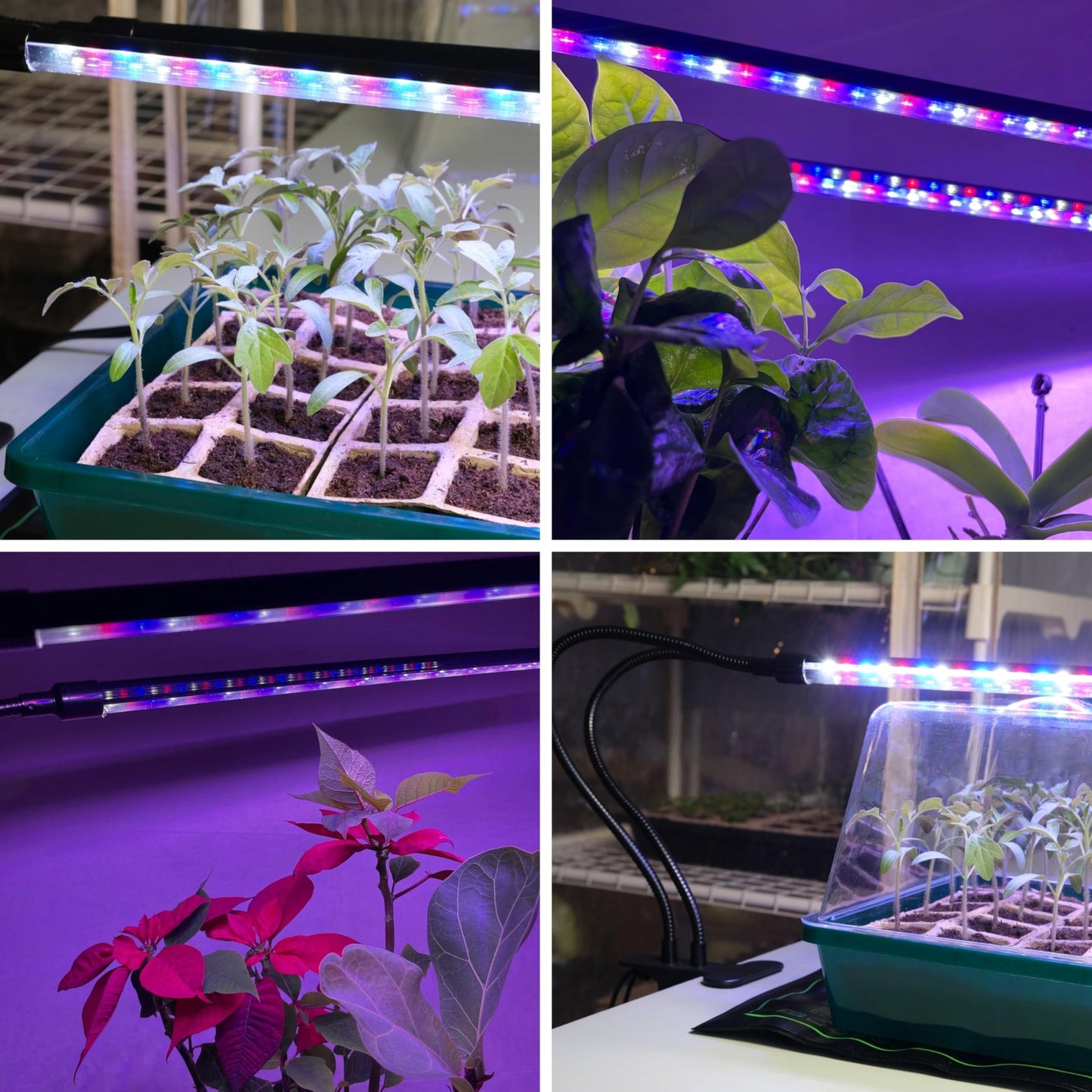 CARPATHEN Dual-Strip LED Grow Light with Flexible Gooseneck, 20” Full Spectrum, Adjustable Brightness & Timer, Targeted Lighting for Seedlings & Indoor Plants