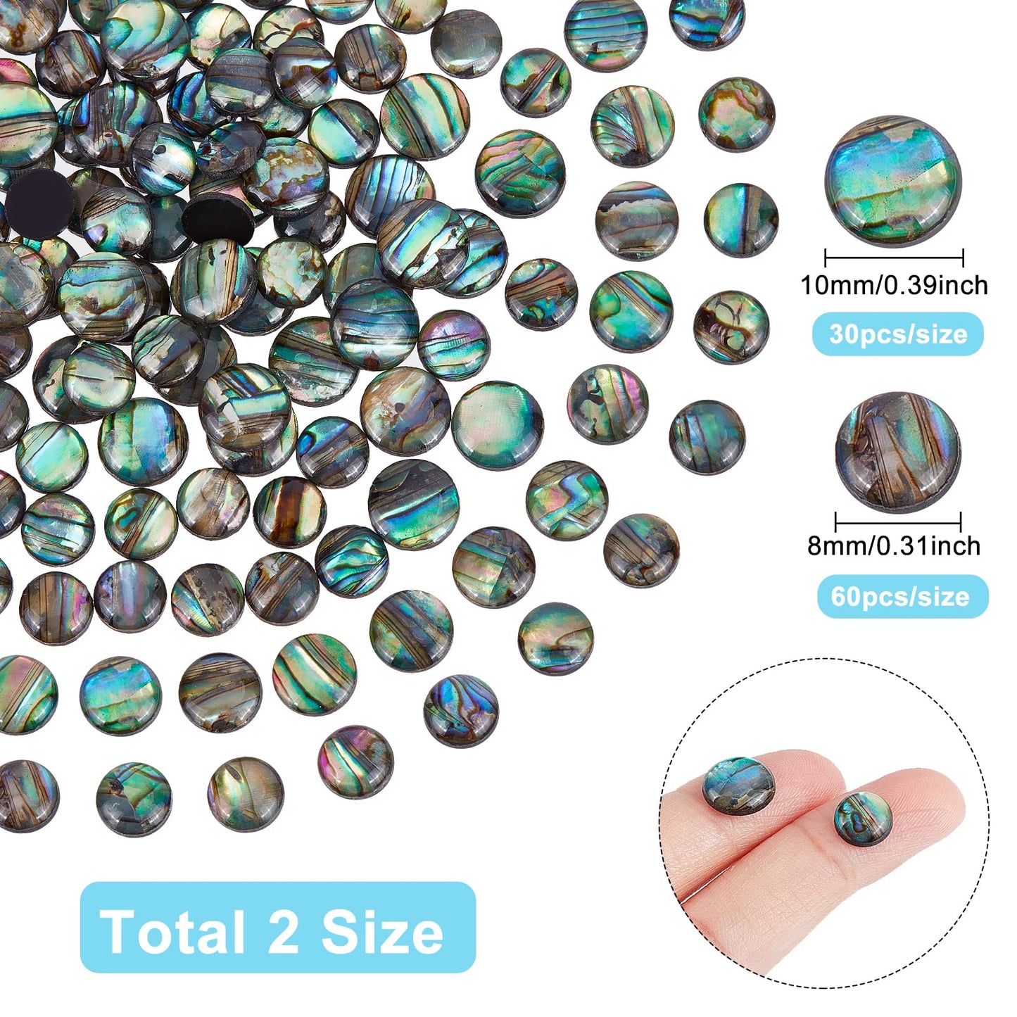 BENECREAT 90PCS Natural Abalone Shell Coin 8mm 10mm Flat Round Paua Shell Cabochons Beads with Storage Containers for Photo Frames, Clay Cups Decoration