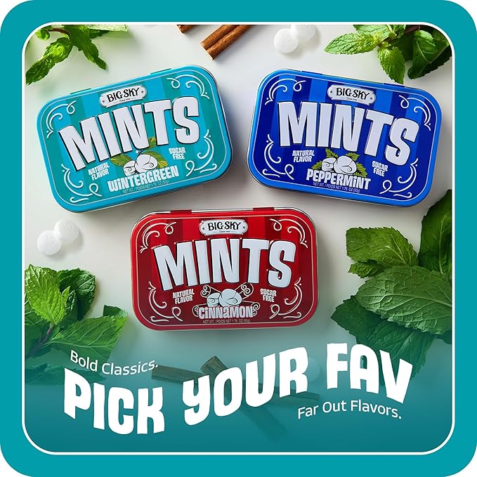Big Sky Sugar Free Wintergreen Mint Candy, 50g Tin - 6 Count Display Tray