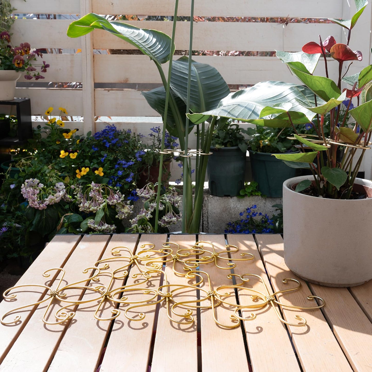 YOHSNOR Durable Monstera Plant Support Hooks 5.5in - 5-Piece Set for Indoor Plant Stabilization, Easy-to-Use Grapple Holders for Monstera and Turtle Shell Plants for Plant Lovers