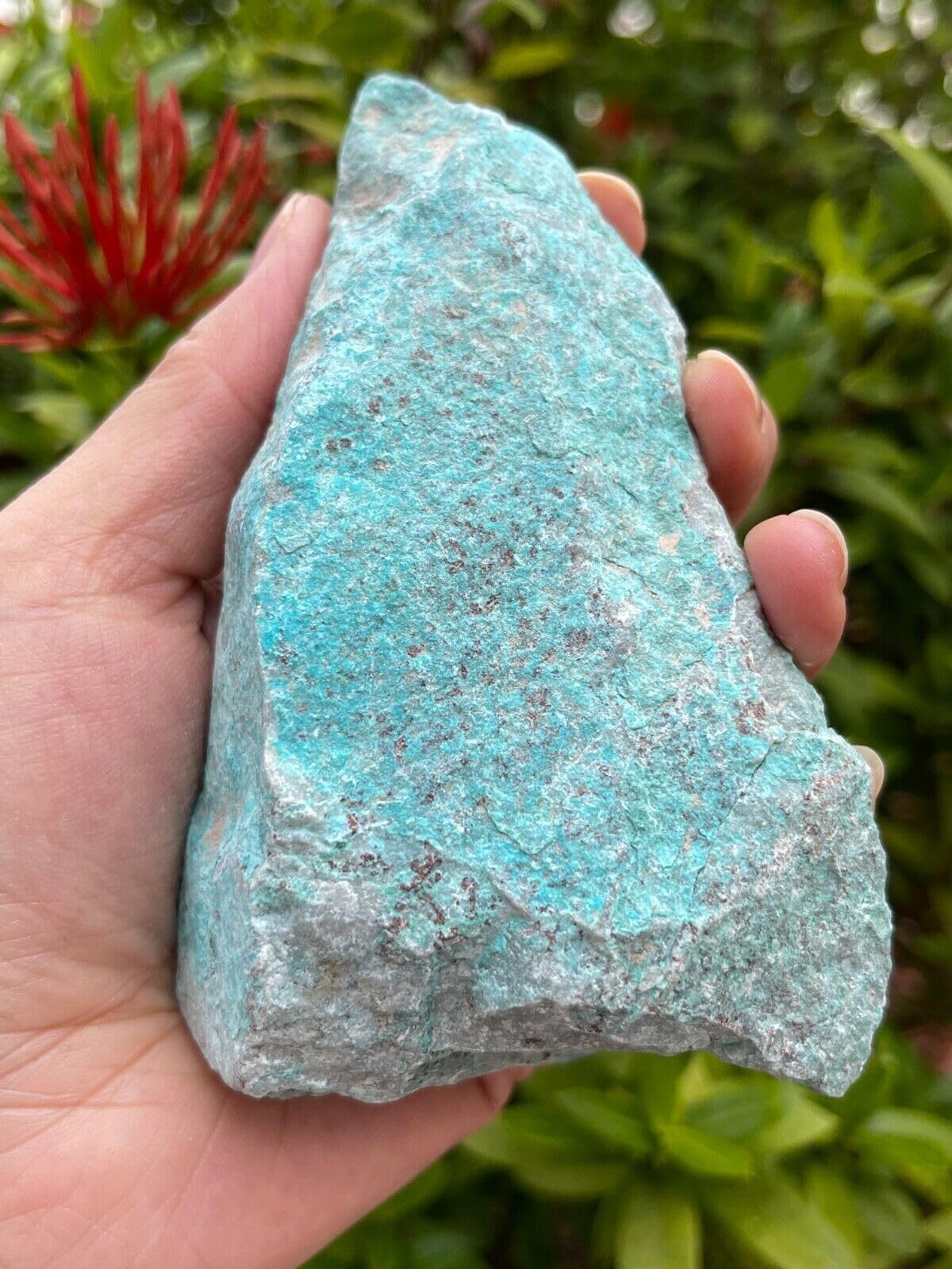 GAF TREASURES XL Raw Chrysocolla, 3-4" Natural Rough Chrysocolla, Chrysocolla Rough, Chrysocolla Healing Rough Crystal (Chrysocolla, 0.5-1 lb)