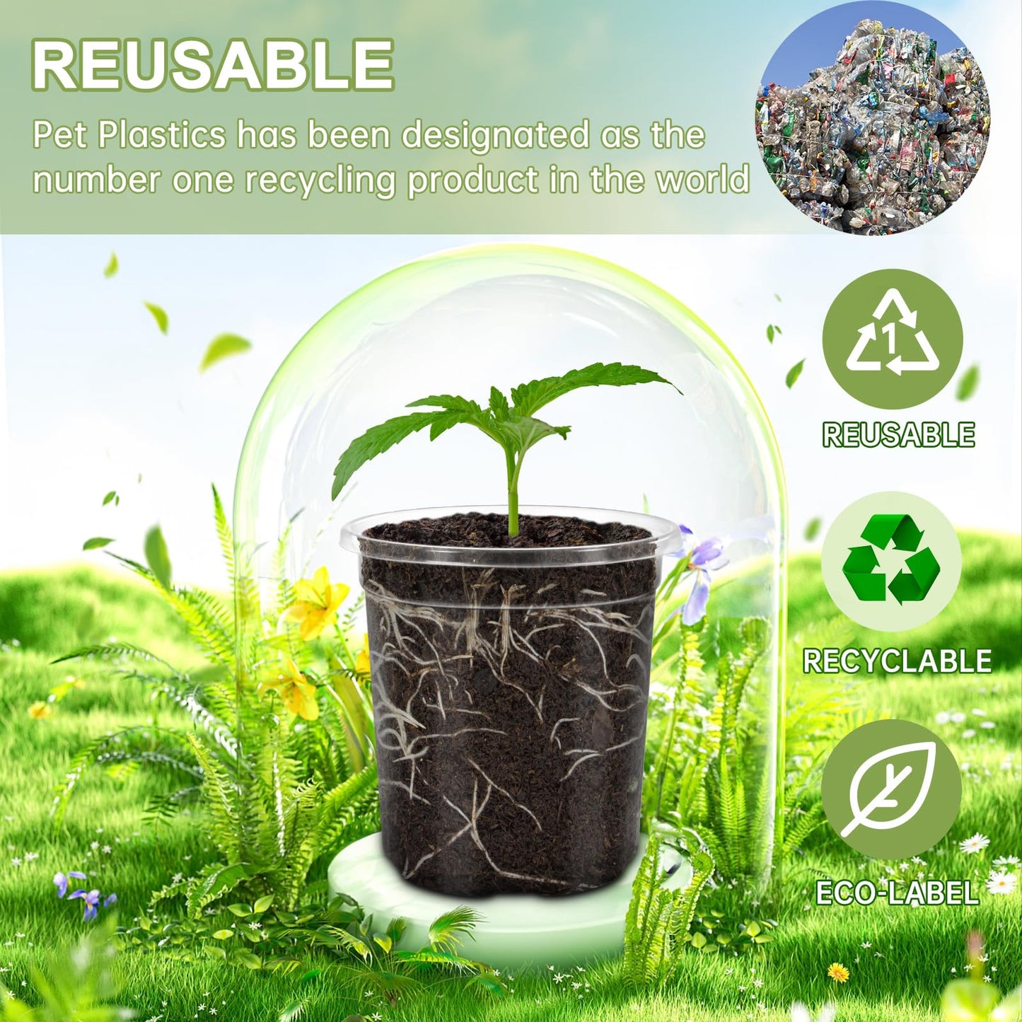 WandaQueen 36 Packs 6.5/5/4/3.5 Inch Reinforced Clear Nursery Pots with Drainage Hole, Variety Pack High Transparency Plastic Seedling Plant Pot with 20 Labels