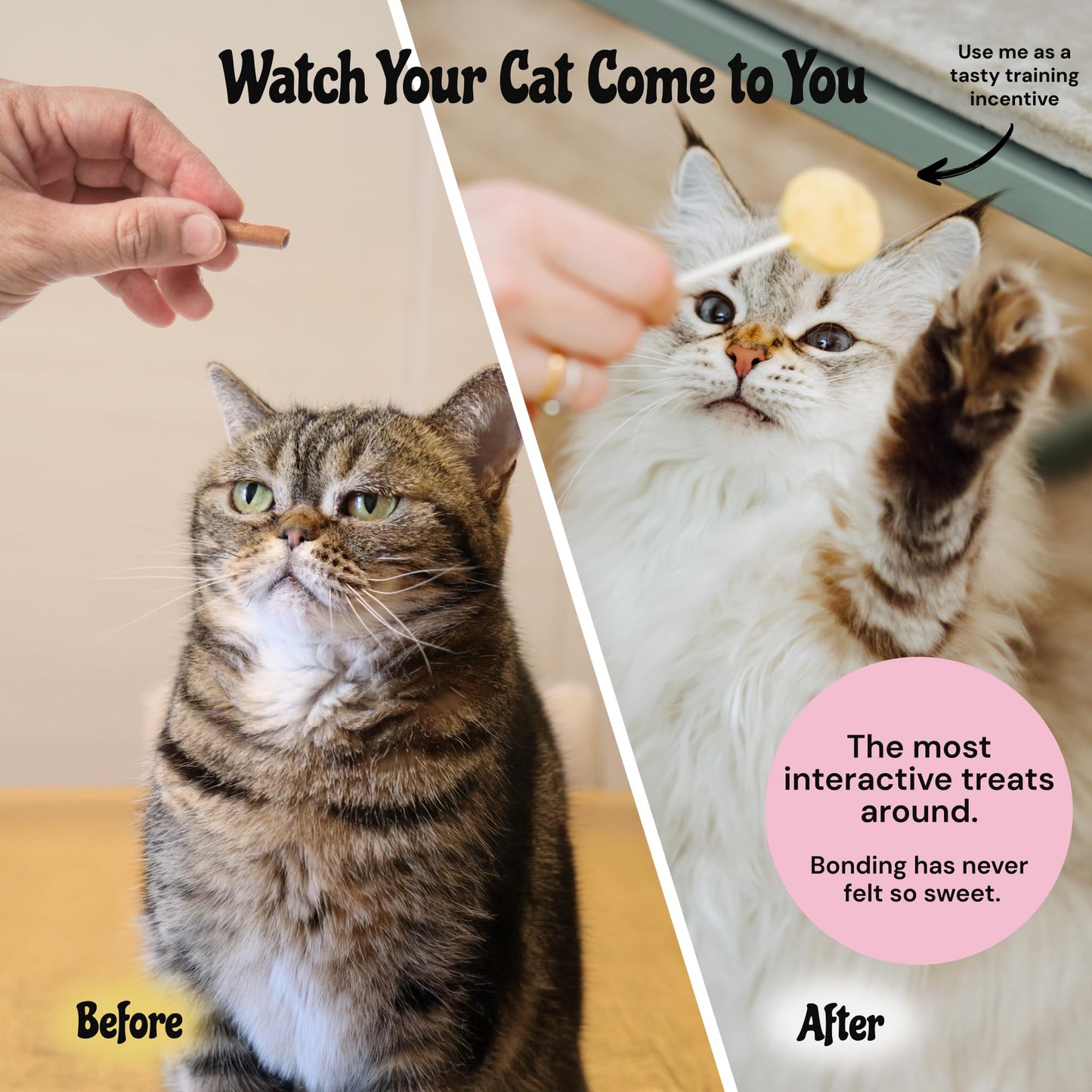 MalsiPree Cat Lollipop Treats - Interactive Cat Toy & Freeze Dried Cat Treats - Fun Suckers & Pops - Healthy Cat Birthday Treats, Cake Alternative & Snack - Food Toppers Chicken & Pumpkin, 18 Pack