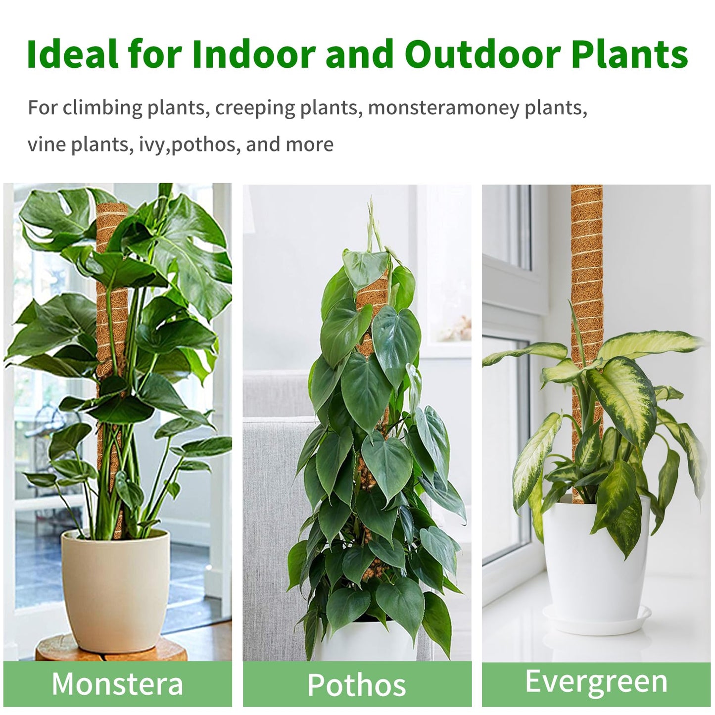ALENEY Moss Pole, 8 Pack 17 inch Monstera Plant Support Stackable Moss Poles for Plants, Coir Totem Pole Tall Moss Pole for Climbing Plants, Sphagnum, Indoor Potted Plants