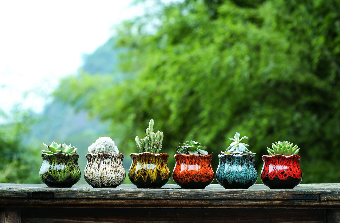 Fulloog Cute Ceramic Succulent Planters, Garden Pots with Drainage and Attached Saucer, Set of 6 - Plants Not Included