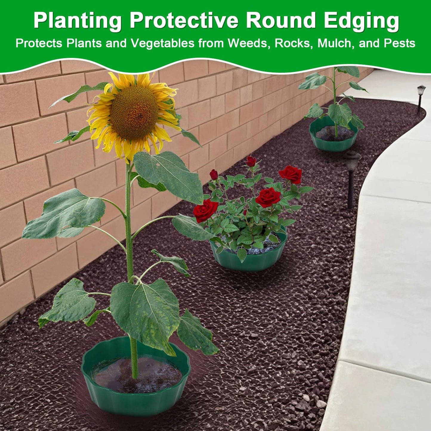 pdpdoc 6 Pack of 10 Inch Planting Grow Rings, Planting Protective Round Garden Edging, Keeping Plants Separated, Weed Control and Directing Water to the Roots (10 Inch - 6 Pack - Green)
