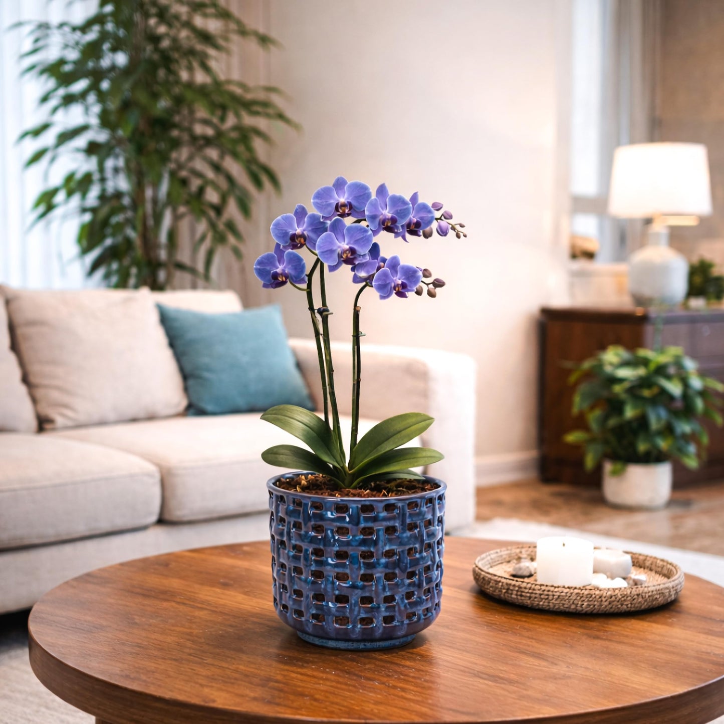 D'vine Dev 6.7 Inch Ceramic Orchid Planter with Lattice Cutout Design, Glazed Cachepot with Clear Nursery Pot & Detachable Saucer for Orchids and Indoor Plants, Midnight Blue, 28-A-Y-2