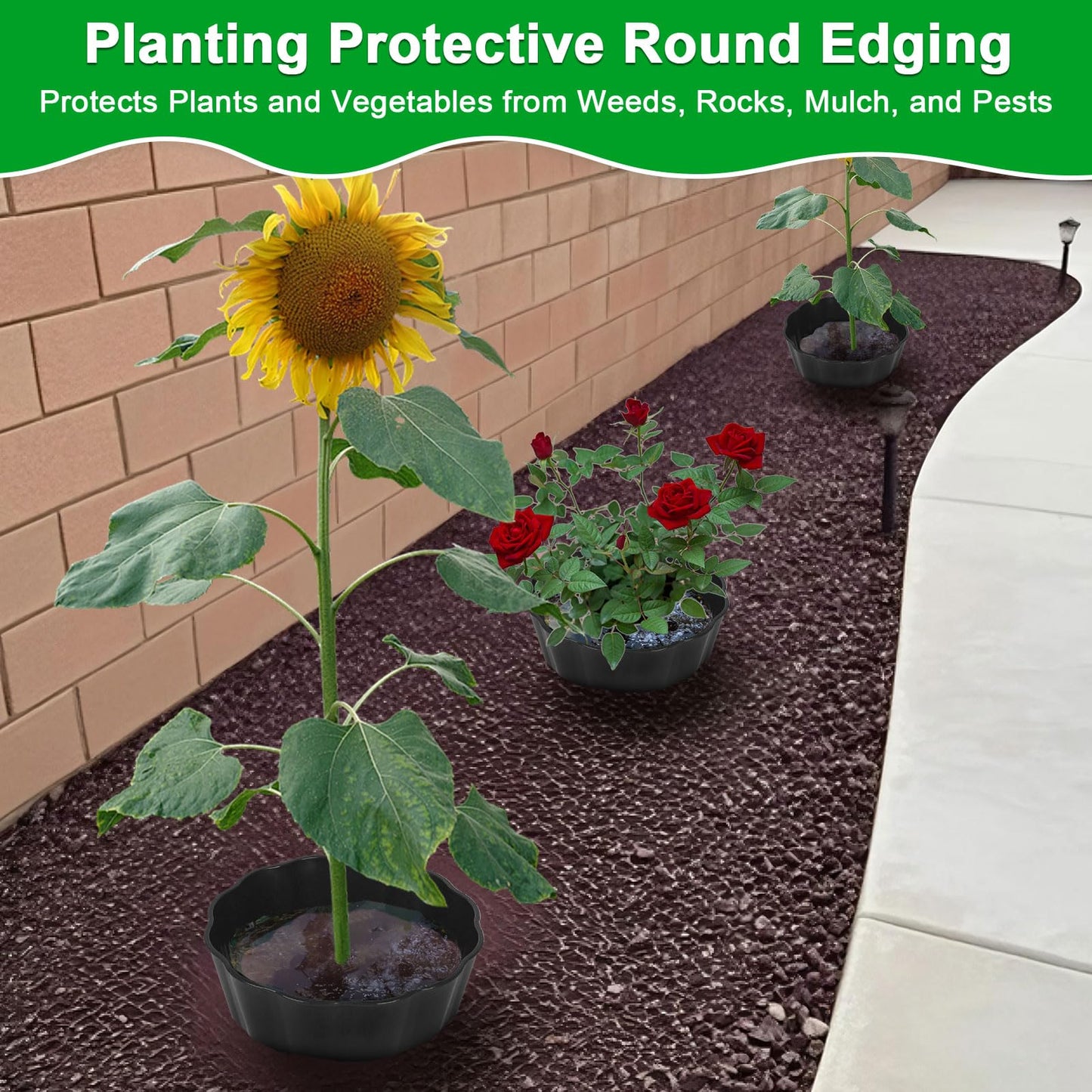 pdpdoc 6 Pack of 10 Inch Planting Grow Rings, Planting Protective Round Garden Edging, Keeping Plants Separated, Weed Control and Directing Water to the Roots (10 Inch - 6 Pack - Black)