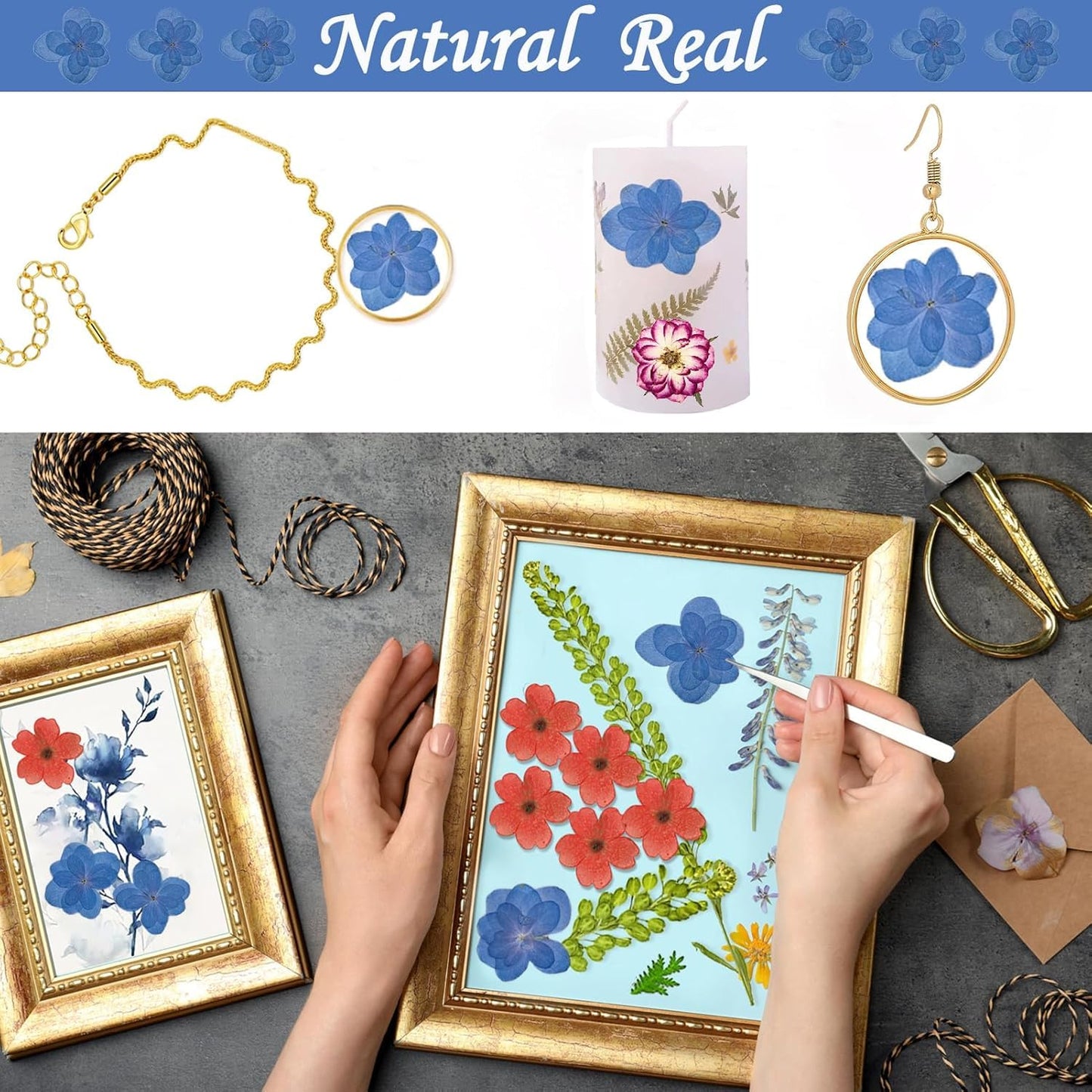 ALJ Blue Dried Flowers Double Hydrangea for Resin Crafts Embellishments, 60PCS Natural Pressed Flowers for Resin Jewelry DIY Phone Case Decor Candle Making Decoration
