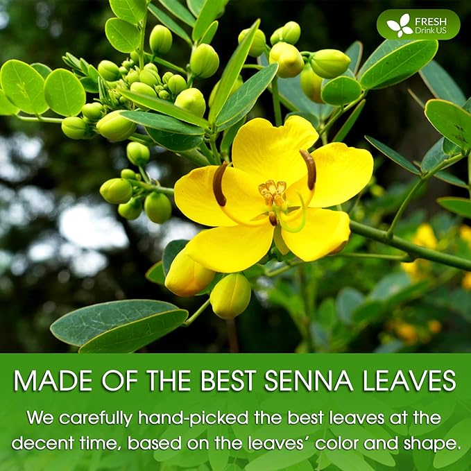 FRESHDRINKUS, Premium 32oz Senna Leaf Powder, 100% Natural and Pure from Senna Leaves, No Additives, No Gluten, No Sugar, Vegan