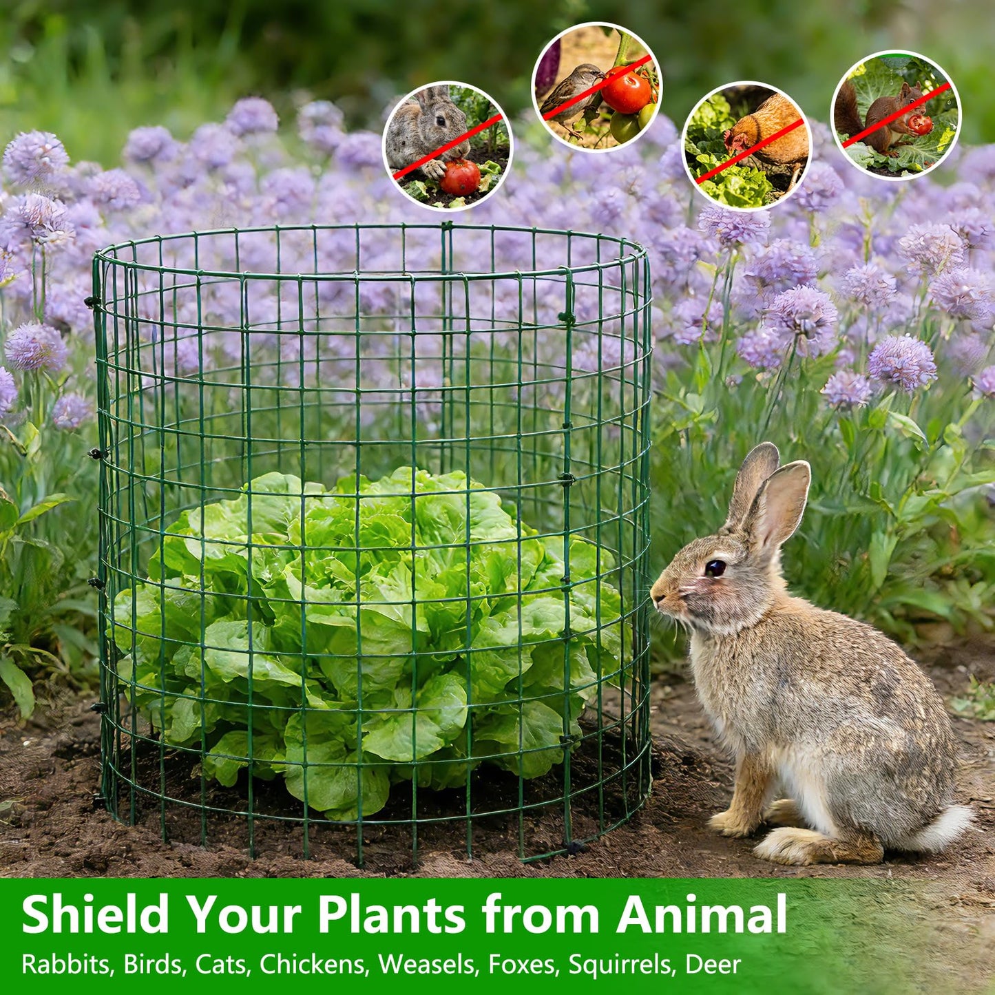 4 Pack Plant Protectors from Animals, 12''x12'' Metal Plant Cages for Outdoor Plants, Garden Plant Protector with Stakes & Zip Ties, Keep Rabbits Squirrels Out, Plant Cage for Flowers Vegetables
