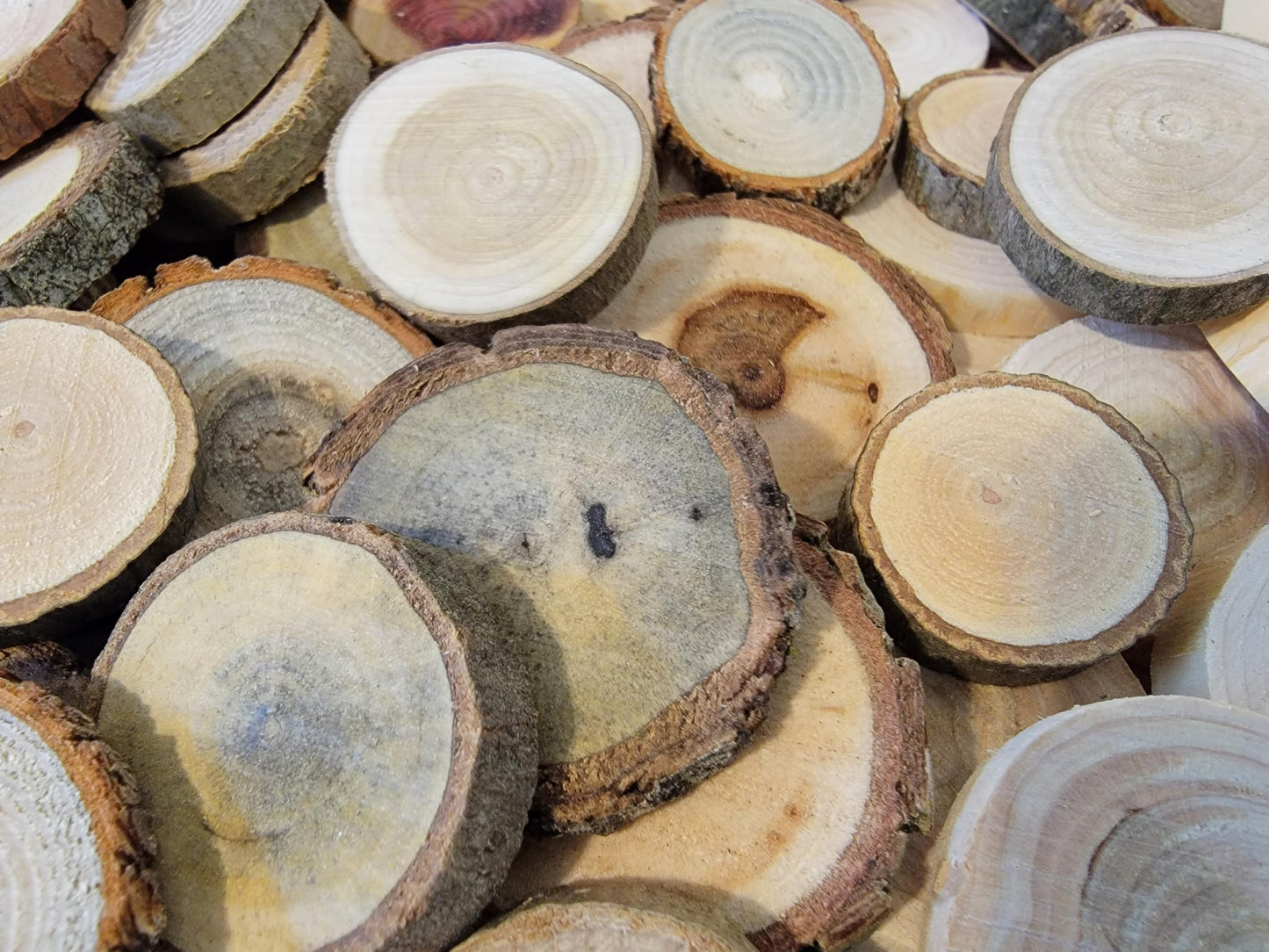 Unfinished Wood Slice Variety Pack, Extra Small Assorted Wood Slices 0.75 to 1.25 Inch Diameter, Natural Organic Vase Filler, Wedding or Home Decor, DIY Craft Projects