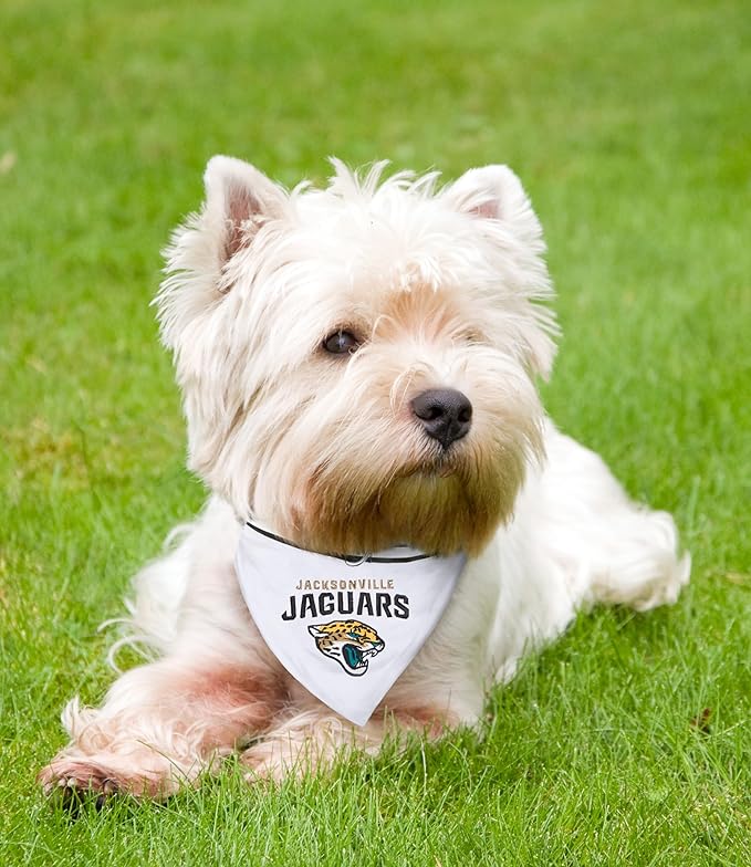 NFL Bandana - Jacksonville Jaguars PET Bandana with Reflective & Adjustable PET Collar, Medium