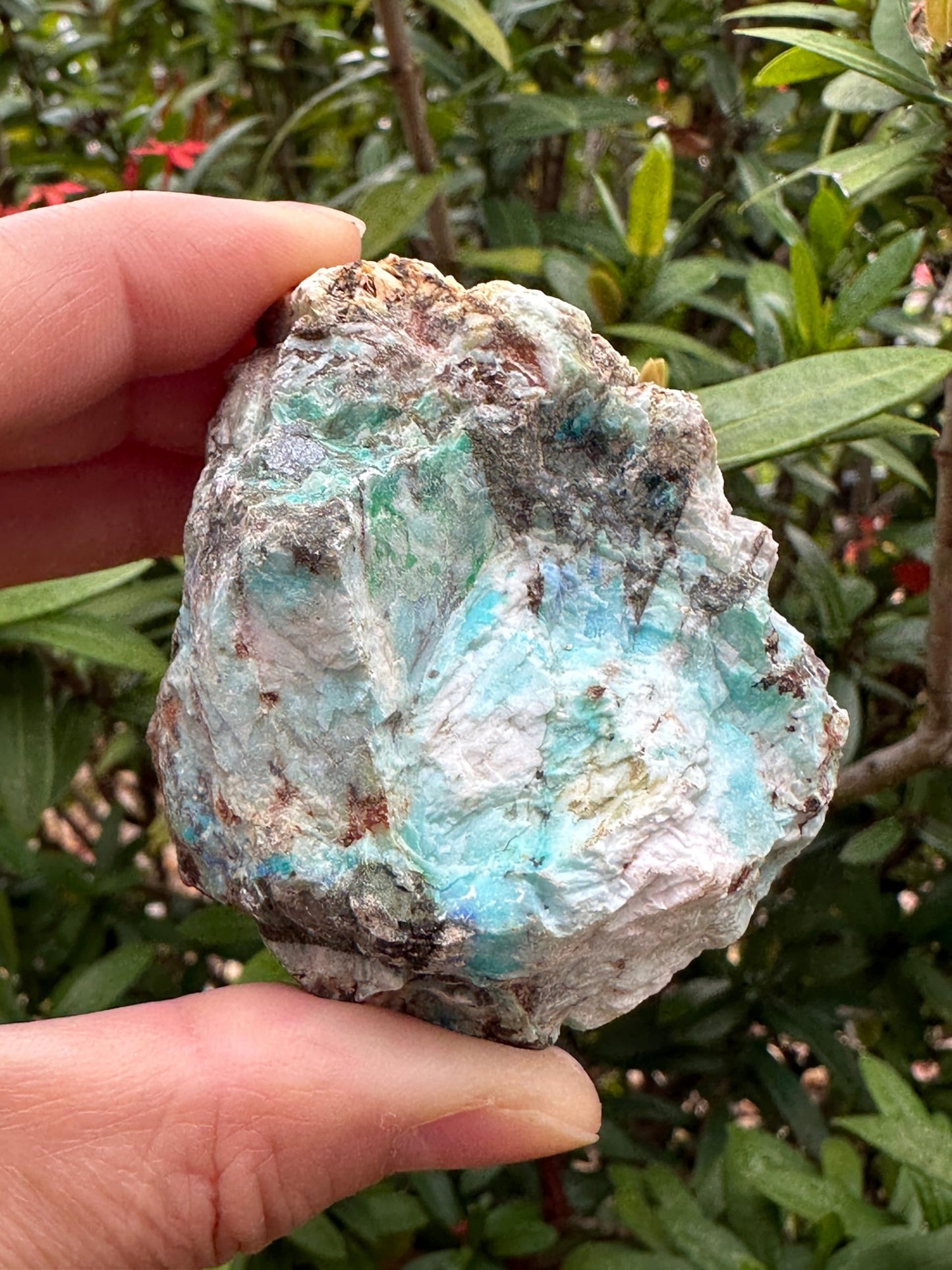 GAF TREASURES XL Raw Azurite, 3-4" Natural Rough Azurite Healing Crystal, 0.5-1 lb