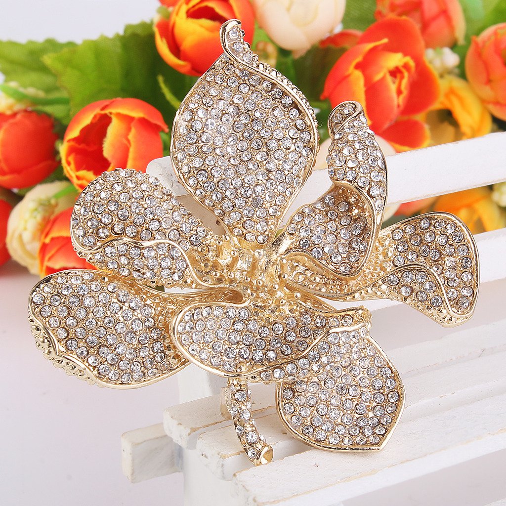 EVER FAITH Women's Austrian Crystal Orchid Flower Petal Brooch Clear Gold-Tone
