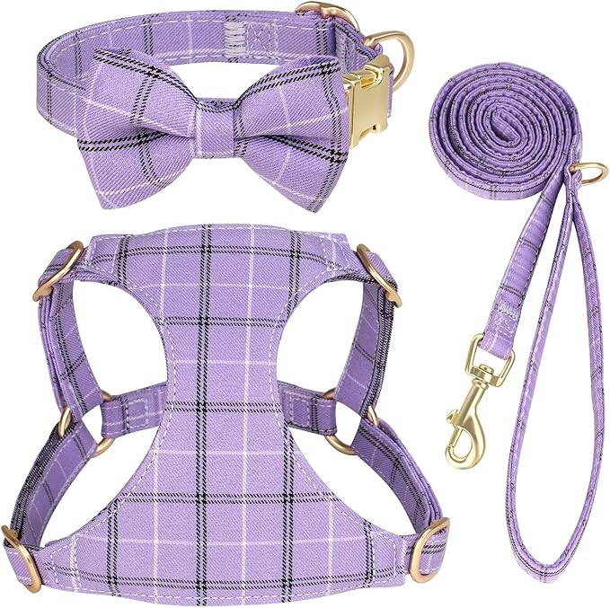 Beirui Cute Extra Small Dog Harness and Leash Set, Gray,XXS,Chest 12-14"