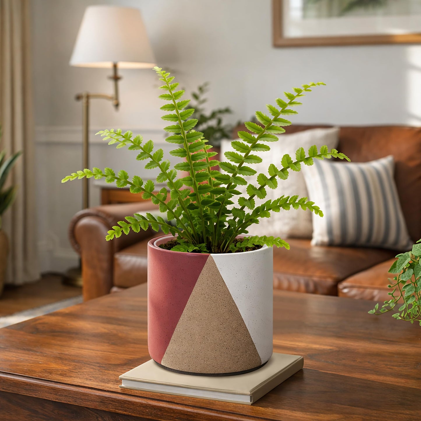 D'vine Dev 6.5" Stoneware Cachepot Planter with 6" Low Clear Nursery Pot & Detachable Saucer – Modern Indoor Plant Pot with Drainage for Bottom Watering & Root Visibility, Crimson Dune, 93-O-C-4