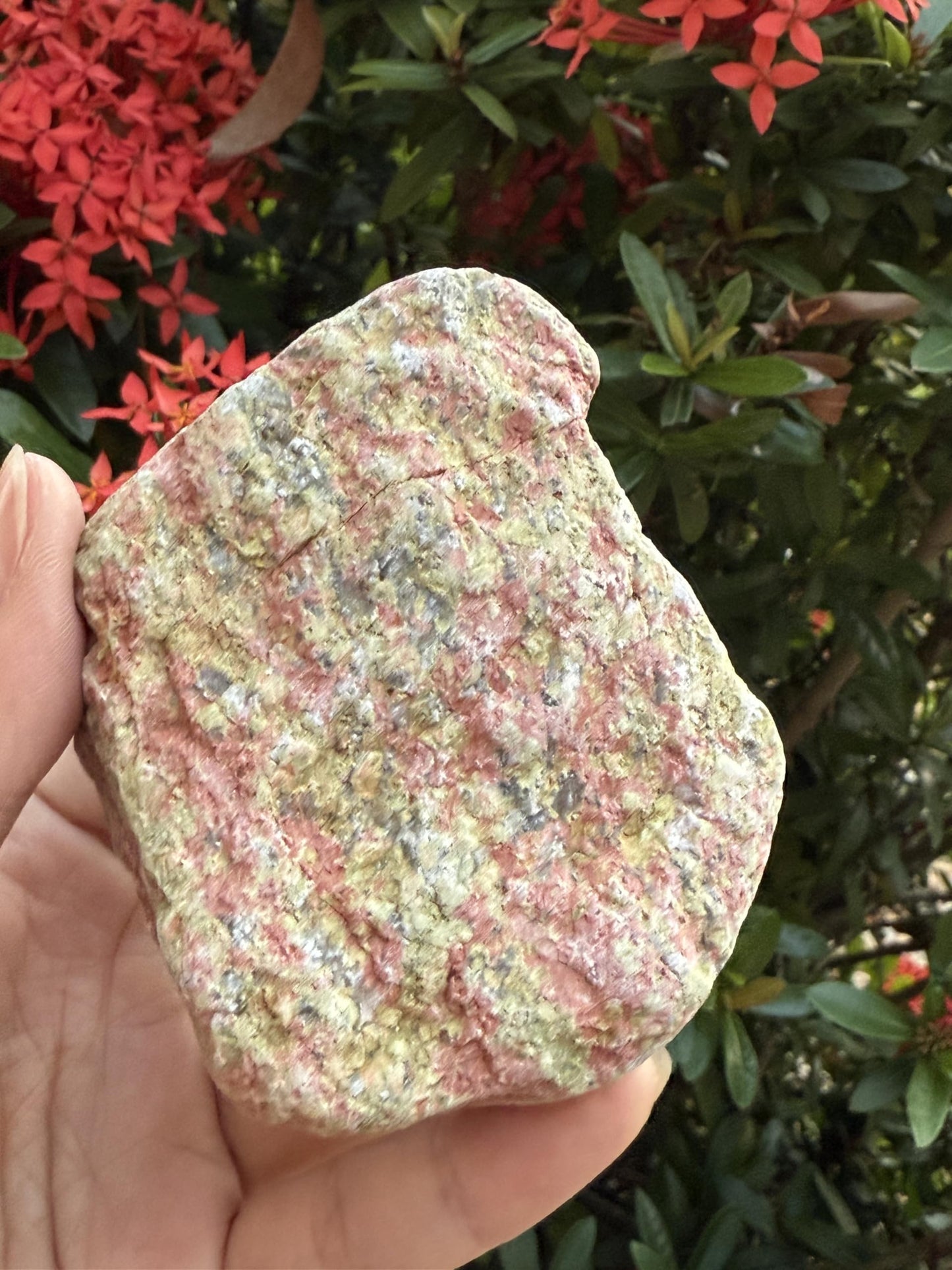GAF TREASURES XL Raw Unakite, 3-4" Natural Rough Unakite, Unakite Rough, Unakite Healing Rough Crystal (Unakite, 0.5-1 lb)