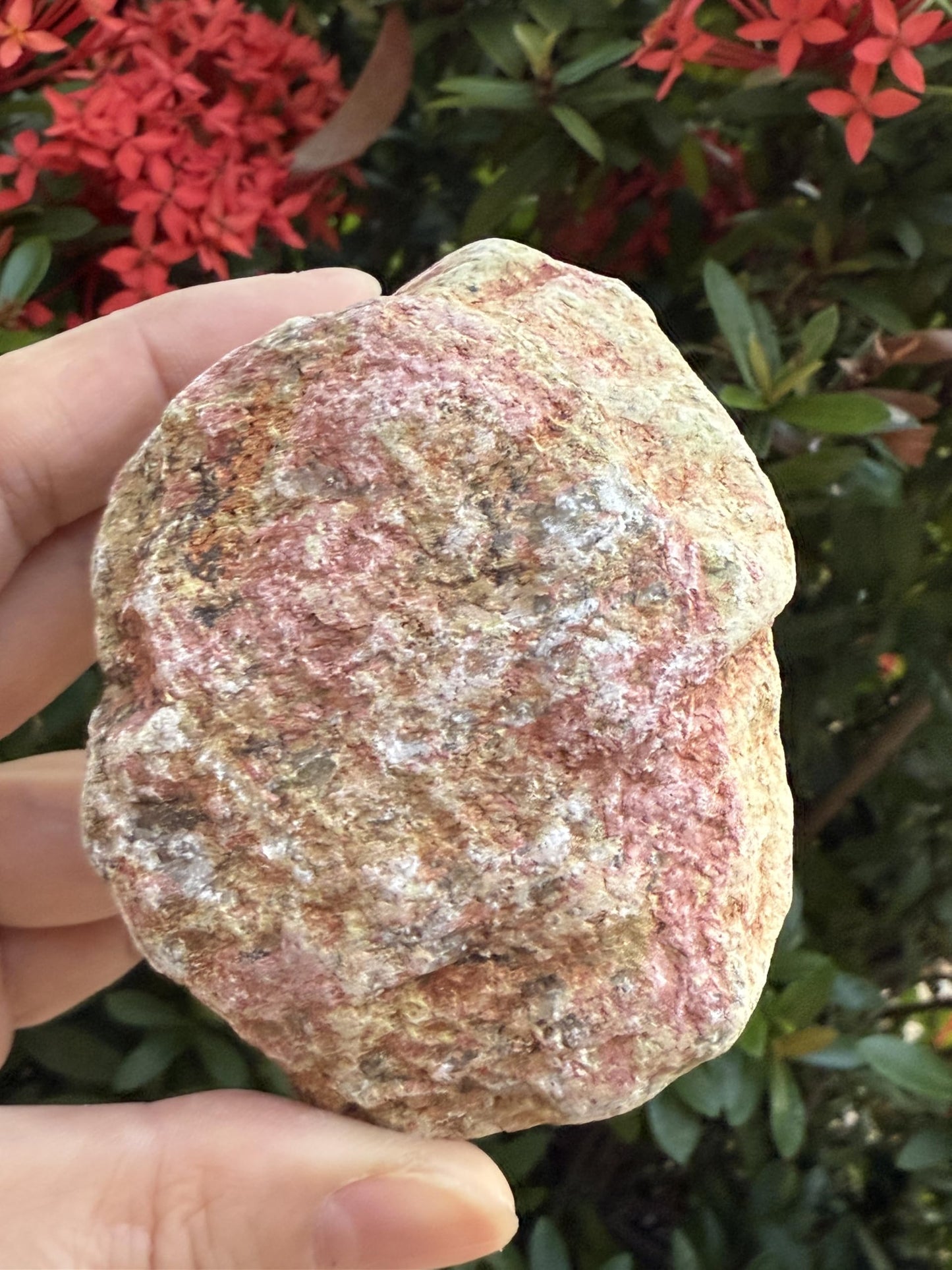 GAF TREASURES XL Raw Unakite, 3-4" Natural Rough Unakite, Unakite Rough, Unakite Healing Rough Crystal (Unakite, 0.5-1 lb)