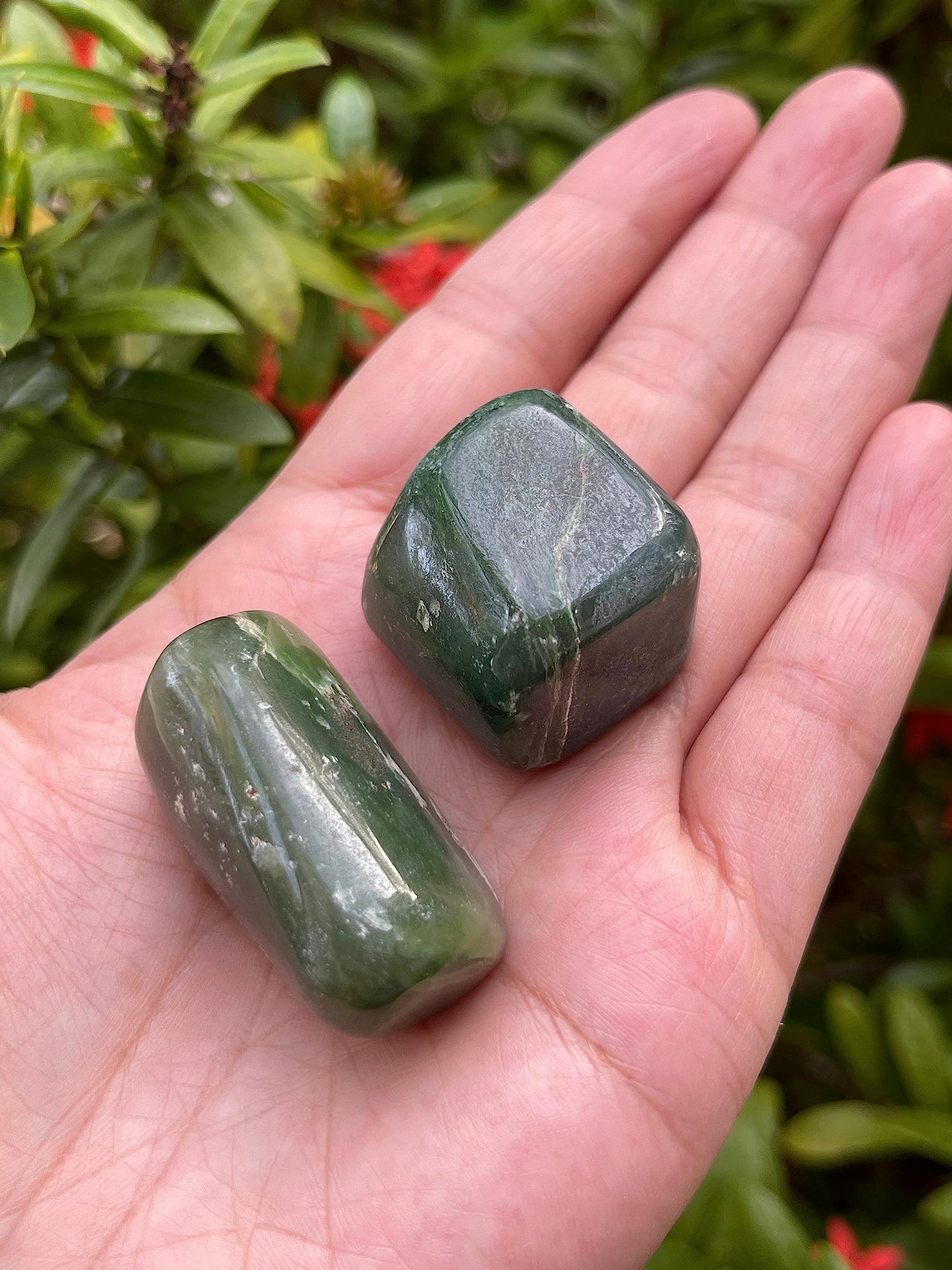 GAF TREASURES 5 Pcs Nephrite Jade Tumbled Stones, Polished Natural Nephrite Jade Gemstone, Nephrite Jade Healing Crystals (Nephrite Jade)