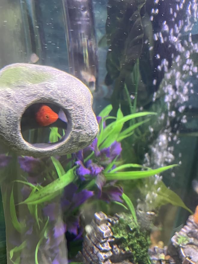 OrnaMounts Aquarium Decor Magnetic Rock Cave Ornament – Wall-Mounted Fish Tank Accessory