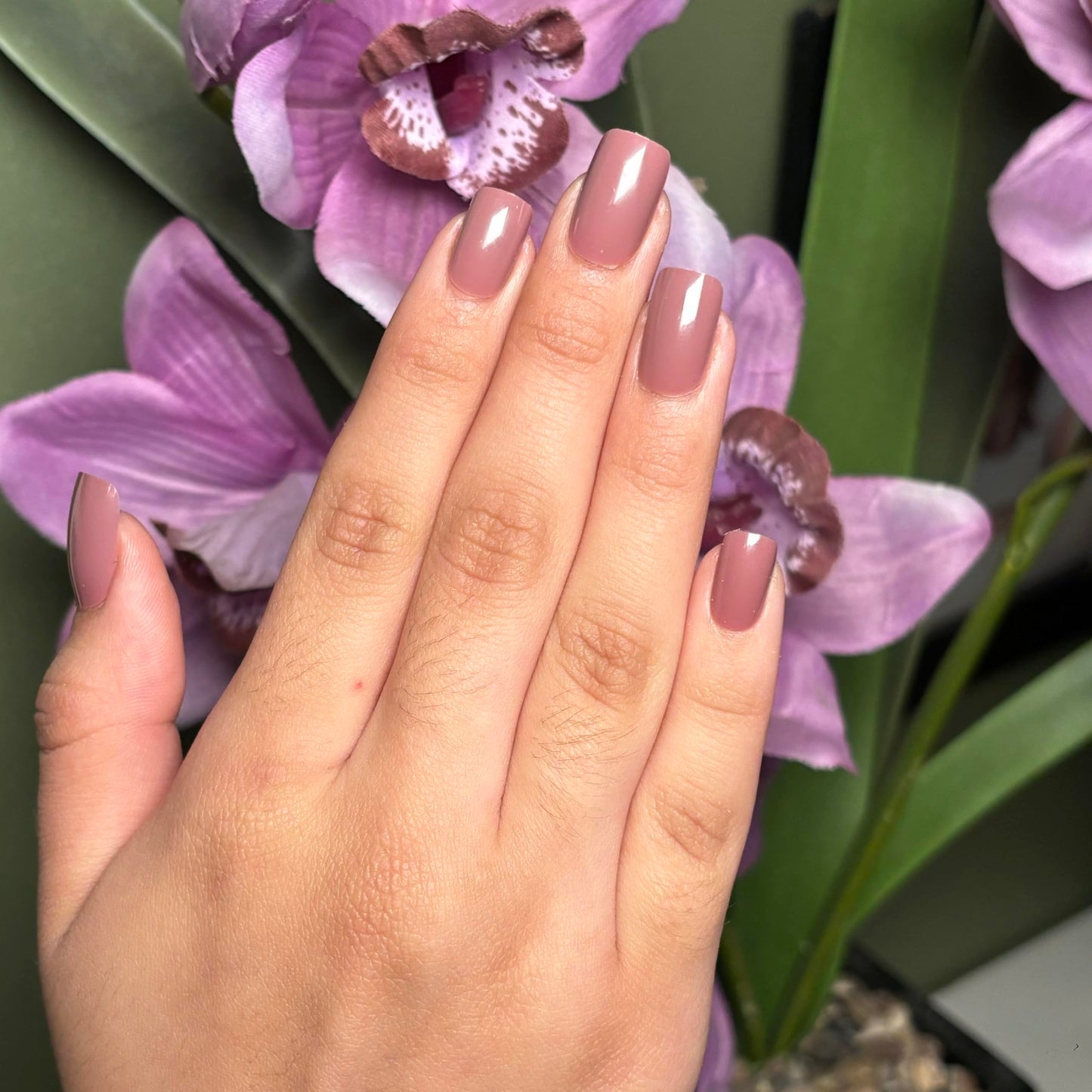 COFFEE DATE Press-On Nails by Lavaa Beauty | Medium Square | Glossy Brown Nude Nails