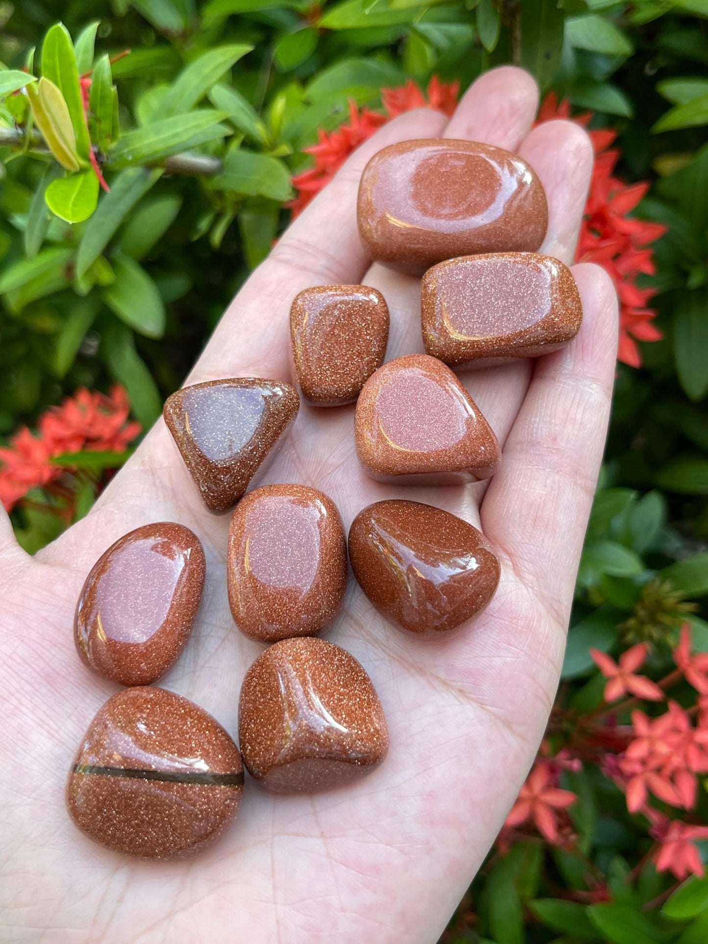 GAF TREASURES 5 Pcs Red Goldstone Tumbled Stones, Polished Red Goldstone Gemstone, Red Goldstone Healing Crystals (Red Goldstone)