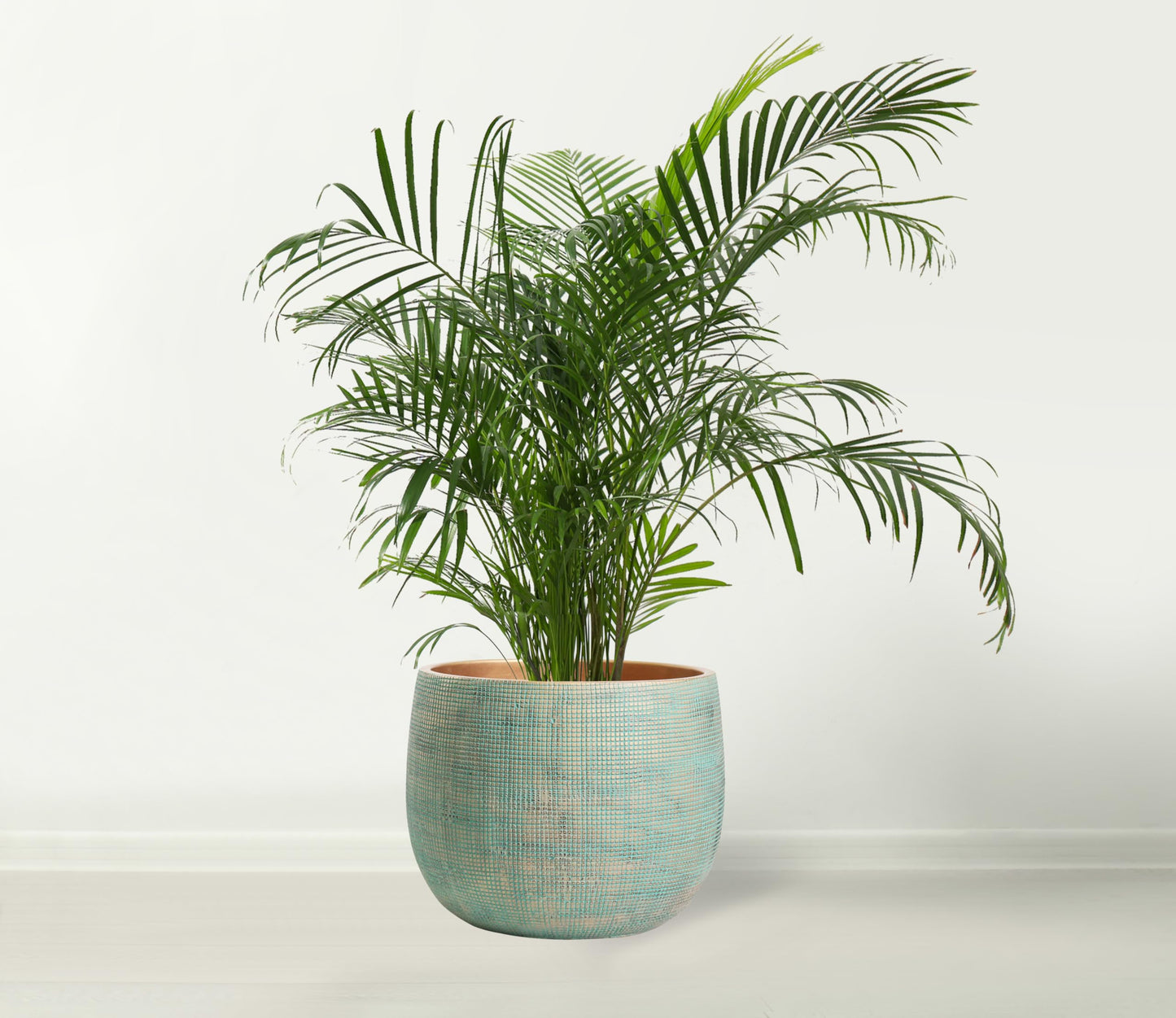 Olly & Rose Bali 10 Inch Ceramic Cement Plant Pot - Indoor & Outdoor Planters - Garden and Flower Pot