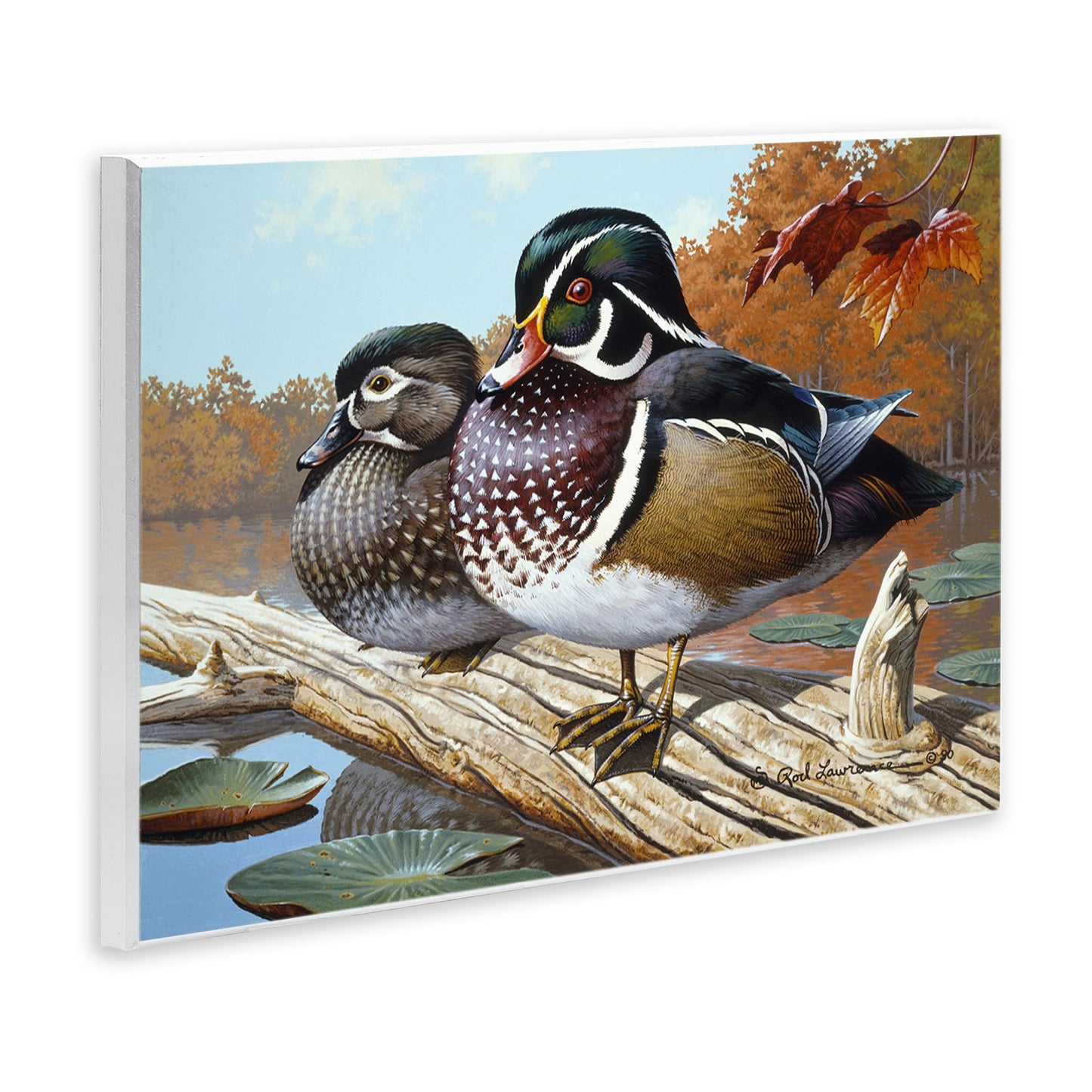 Stupell Industries Duck Pair on Driftwood Wall Plaque Art Design by Rod Lawrence, 19 x 13