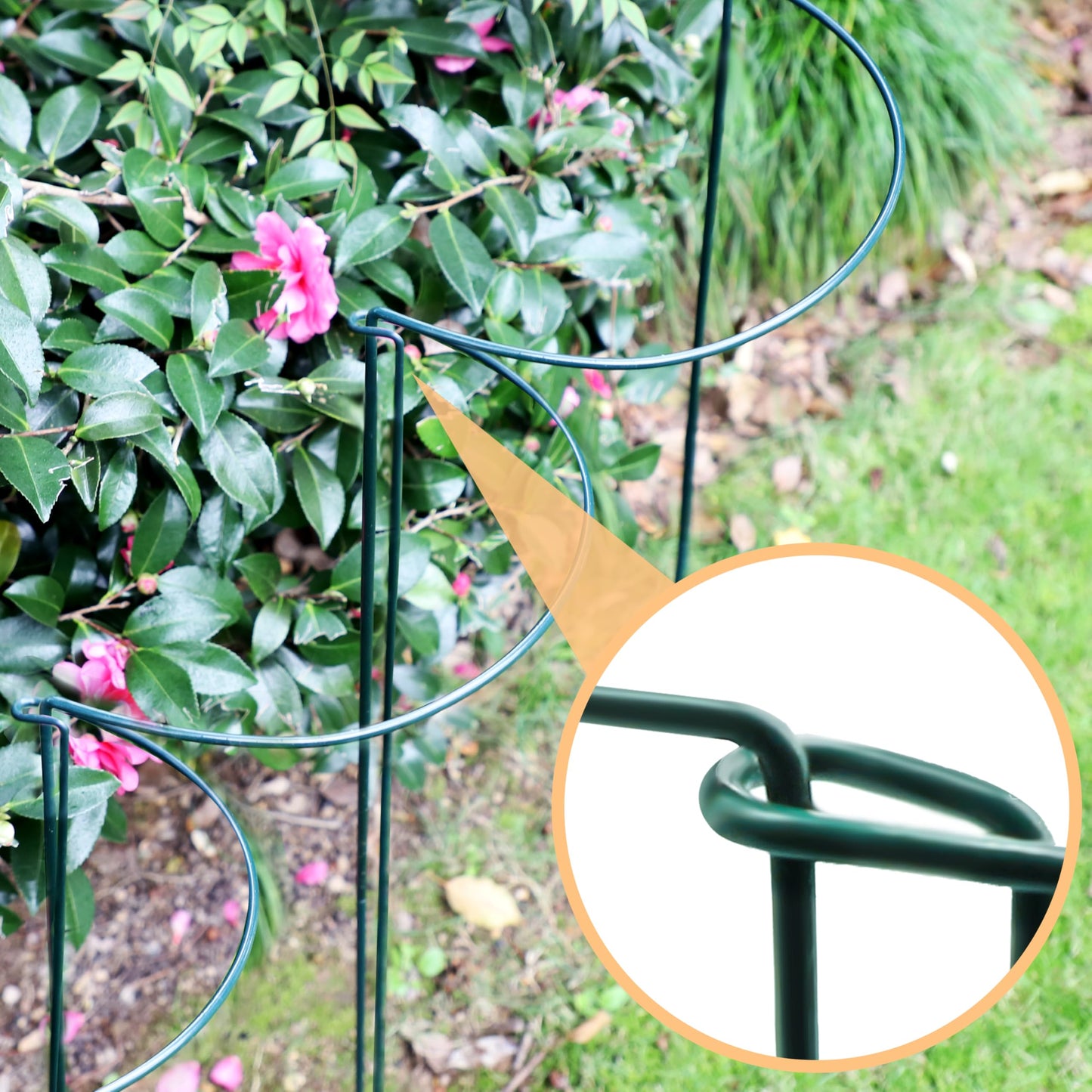 TCBWFY 24"Hx10"D Plant Supports Stakes for Large Heavy Plants,20 Pack Peony Supports,Heavy Duty 4.5mm Wire Peony Cages,Interlock Garden Supports Ring Border Support,Plant Support Cage for Rose Flowers