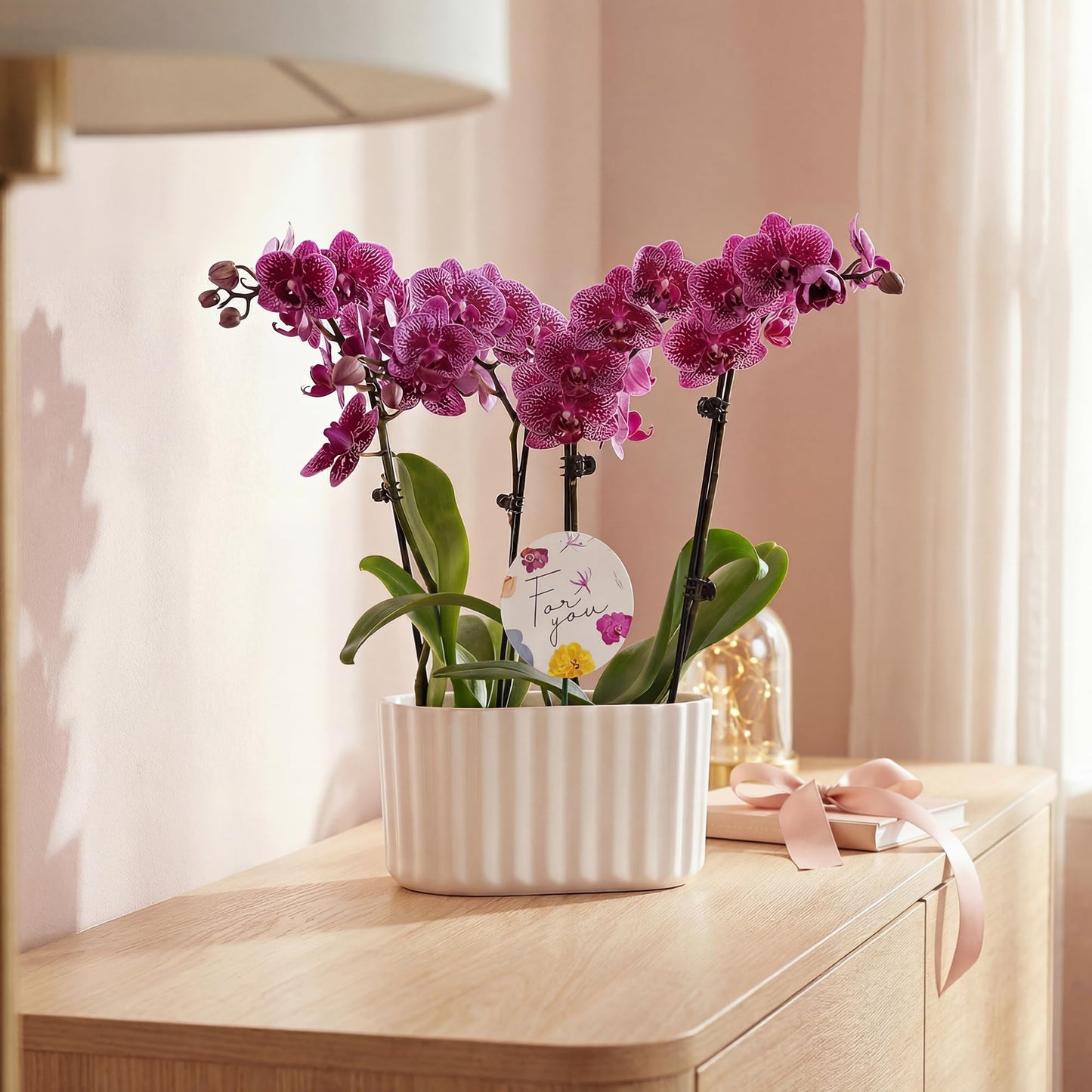 Wild Interiors Green Circle Growers 6" Double Mini Dark Purple Orchids in White Memphis Floramx Planter – Live Orchid Arrangement, Elegant Indoor Flowering Plant Gift