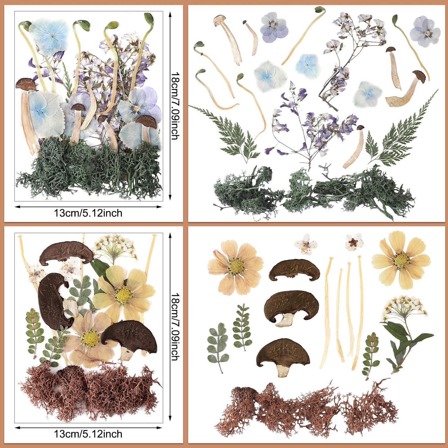 Nuanchu Dried Pressed Flowers for Resin Molds Dried Mushrooms Crafts Fake Mushrooms Natural Pressed Wildflowers Leave with Tweezer for Mother's Day Crafts Scrapbooking Nail Soap Making DIY Supplies