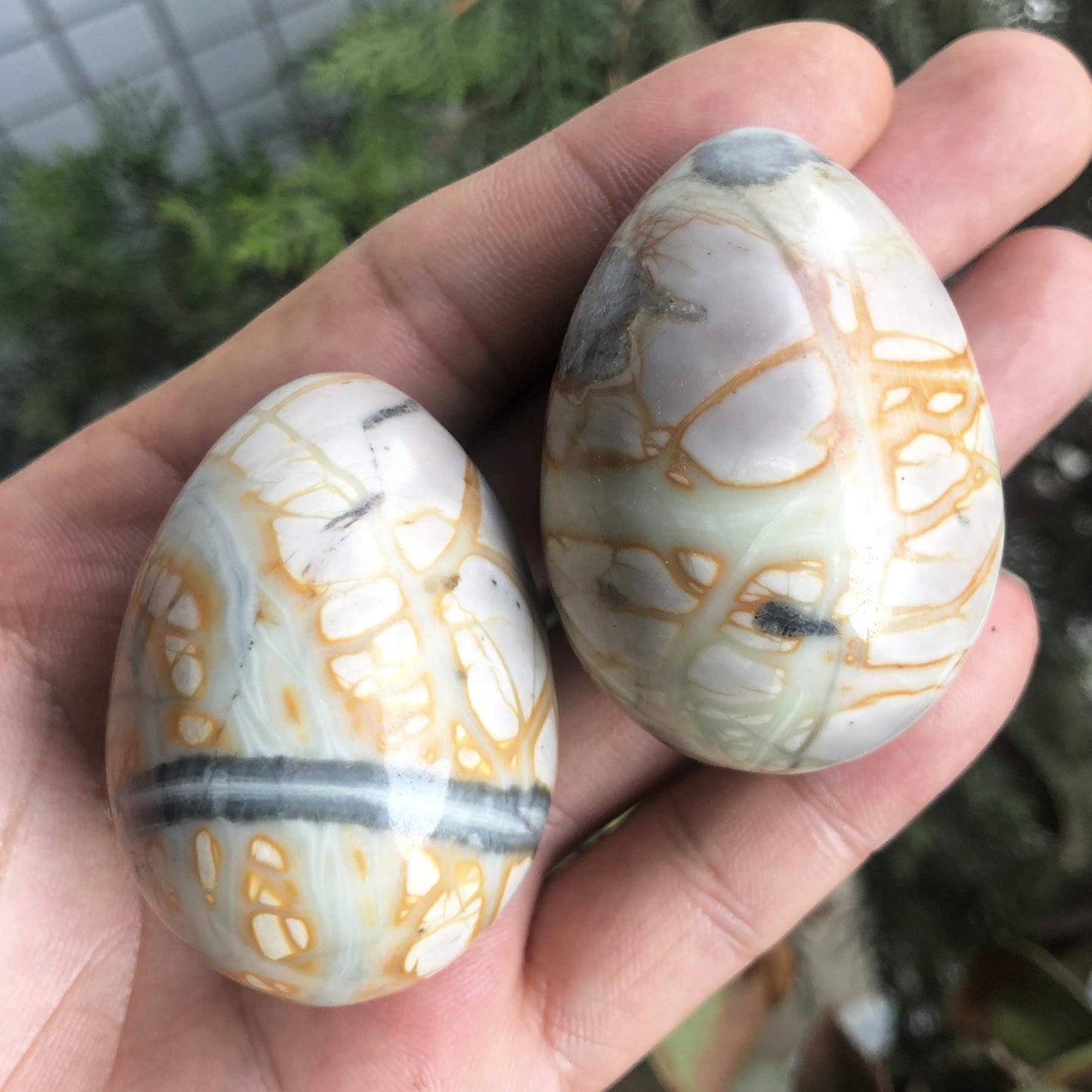 favoramulet Polished Stone Egg for Easter Day, Palm/Pocket/Worry Enegry Healing Crystal Display Sphere Figurine Fengshui, Picasso Jasper 1.8" x 1.3"