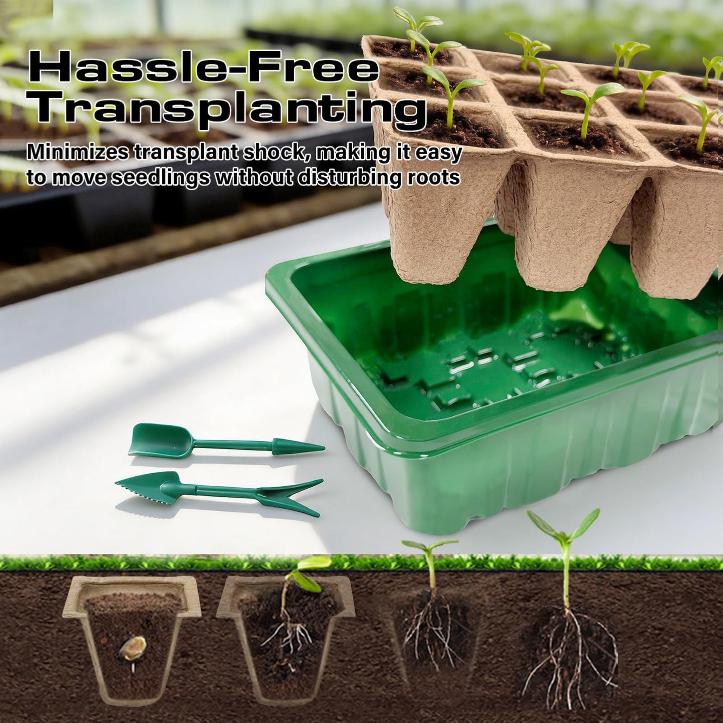 Bhyhok Seed Starter Tray Kit 10 Pack, Seed Starting Trays with Humidity Dome (120 Cells Total), Plant Germination Trays Complete Mini Greenhouse for Seed Growing & Seedlings