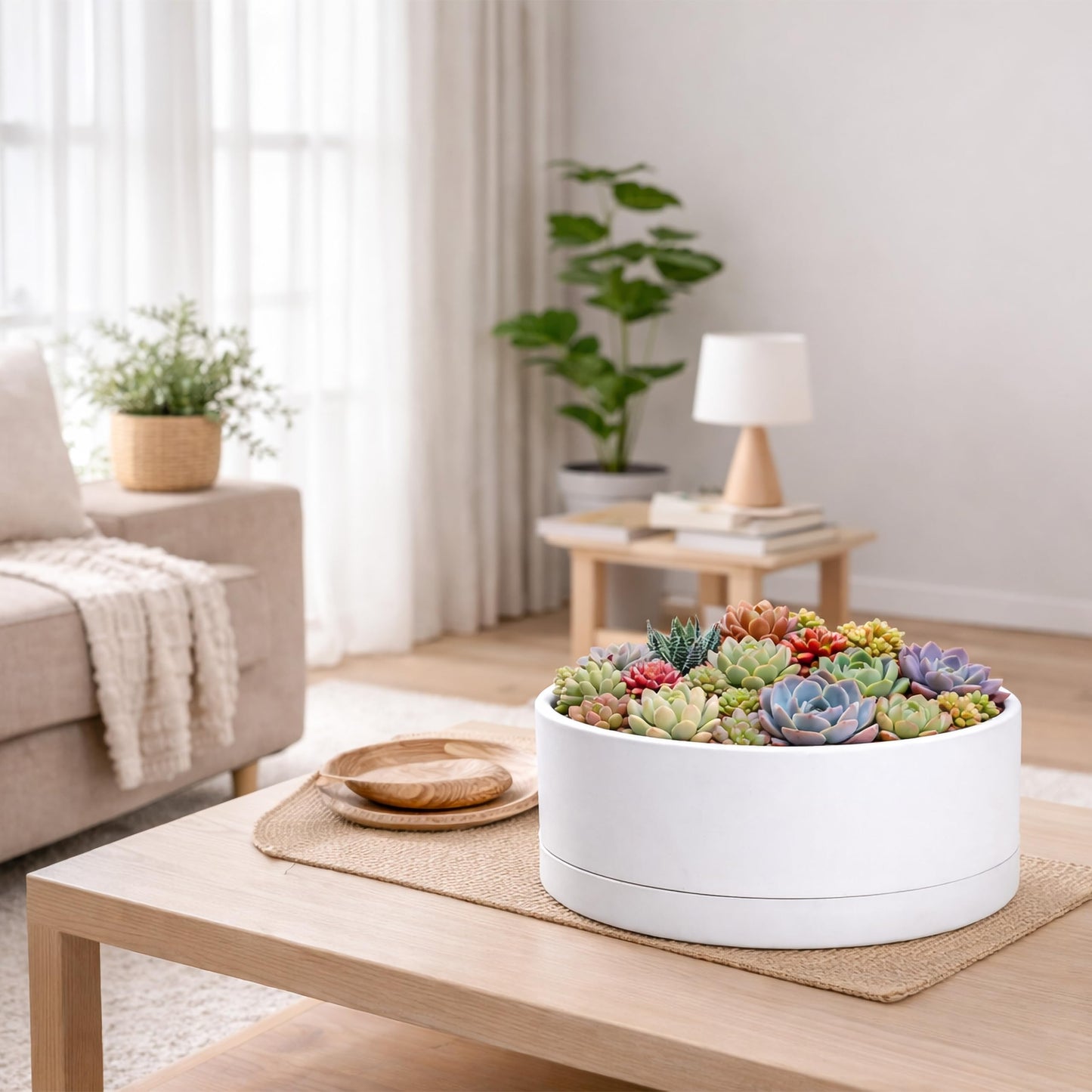 D'vine Dev 10 Inch Plastic Shallow Planter, Large Round Succulent Plant Pot with Drainage Hole and Sauce, Decorative Bonsai Pot for Indoor Plants, White, 76-Z-A-2