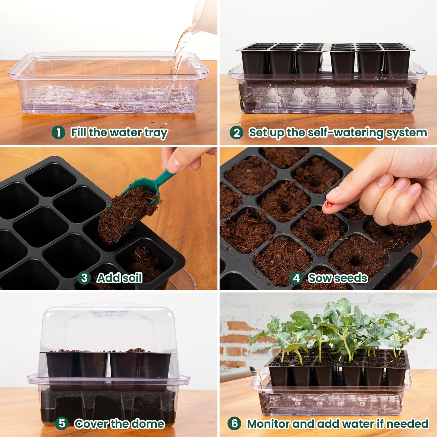 SOLIGT Self Watering Seed Starter Trays with Humidity Domes, Extra Thick Plastic Seed Starter kit for Seed Starting, Plant Germination & Seedling Growing, 3 Pack 72 Cells