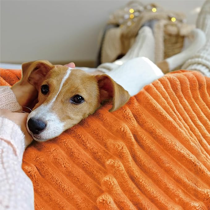 INFIIXSO Sherpa Fleece Queen Size Blanket - Super Soft & Warm Striped Fleece, Cozy Plush Fluffy Large Bed Blanket All Season Use (Burnt Orange, 90x90 Inches)