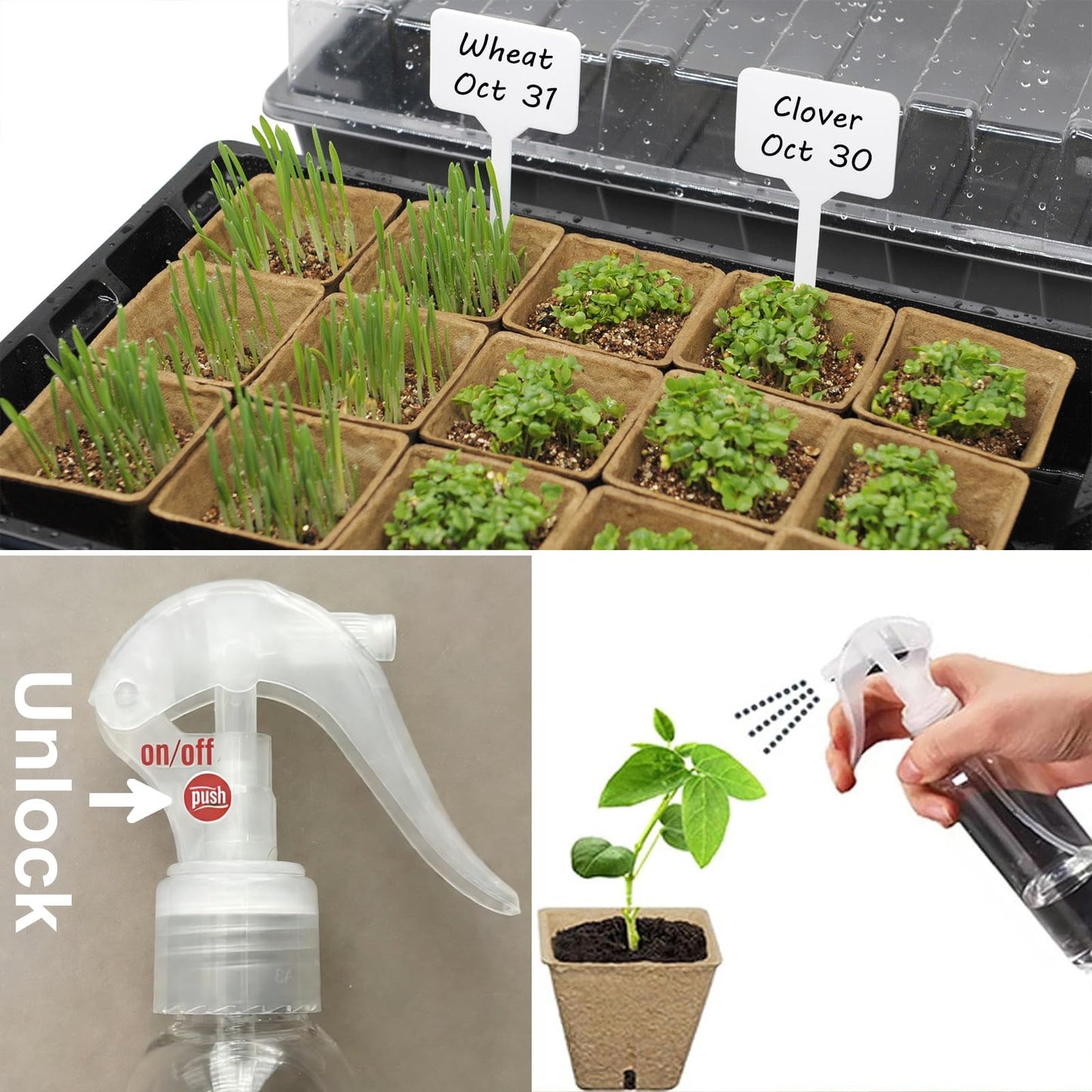macoya Seed Starter Kit with 100 Peat Pots for Seedlings Seed Starter Tray, 5 Plastic Growing Trays with Water Strainer & Adjustable Humidity Dome Outdoor or Indoor Herb Garden Nursery