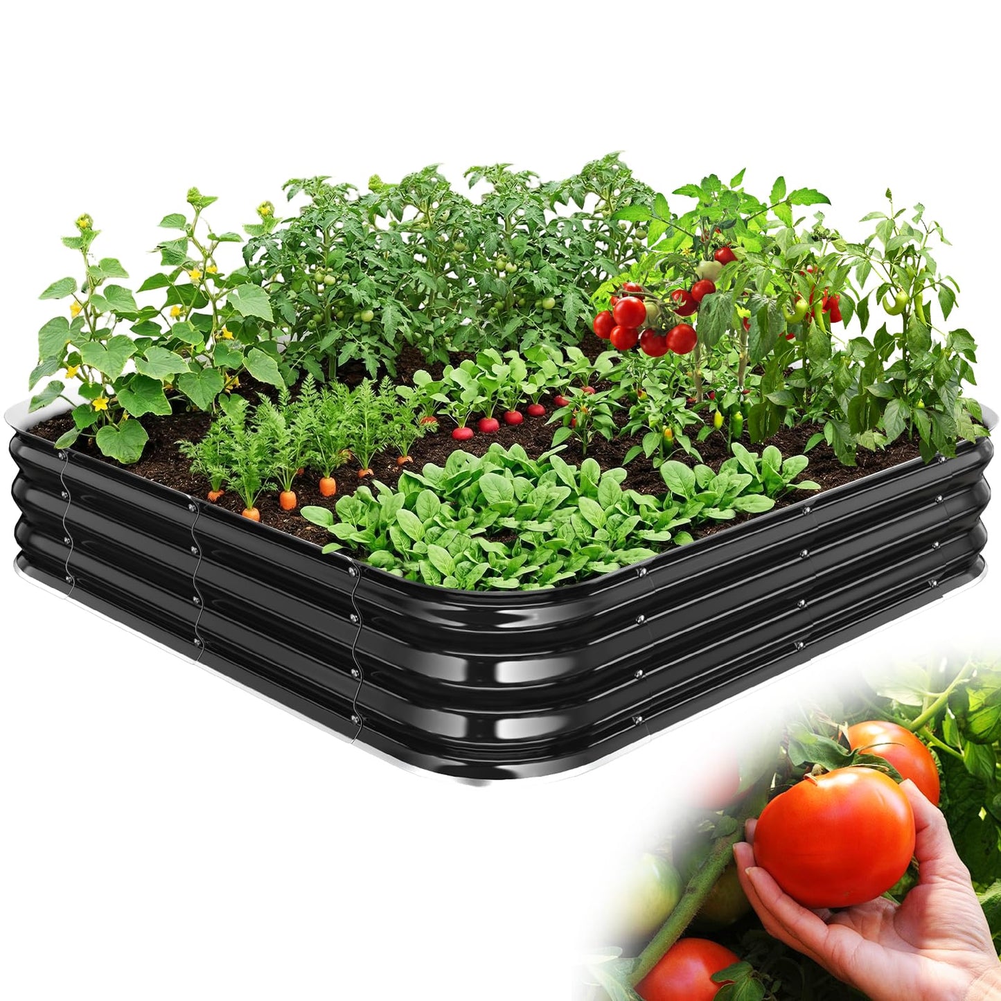 FCCRETA Galvanized Raised Garden Bed for Gardening, 4x4x1ft Large Square Metal Planter Boxes Outdoor for Vegetable,Flower,Herb,Modular Above Ground Growing Container,Black, Easy Assembly
