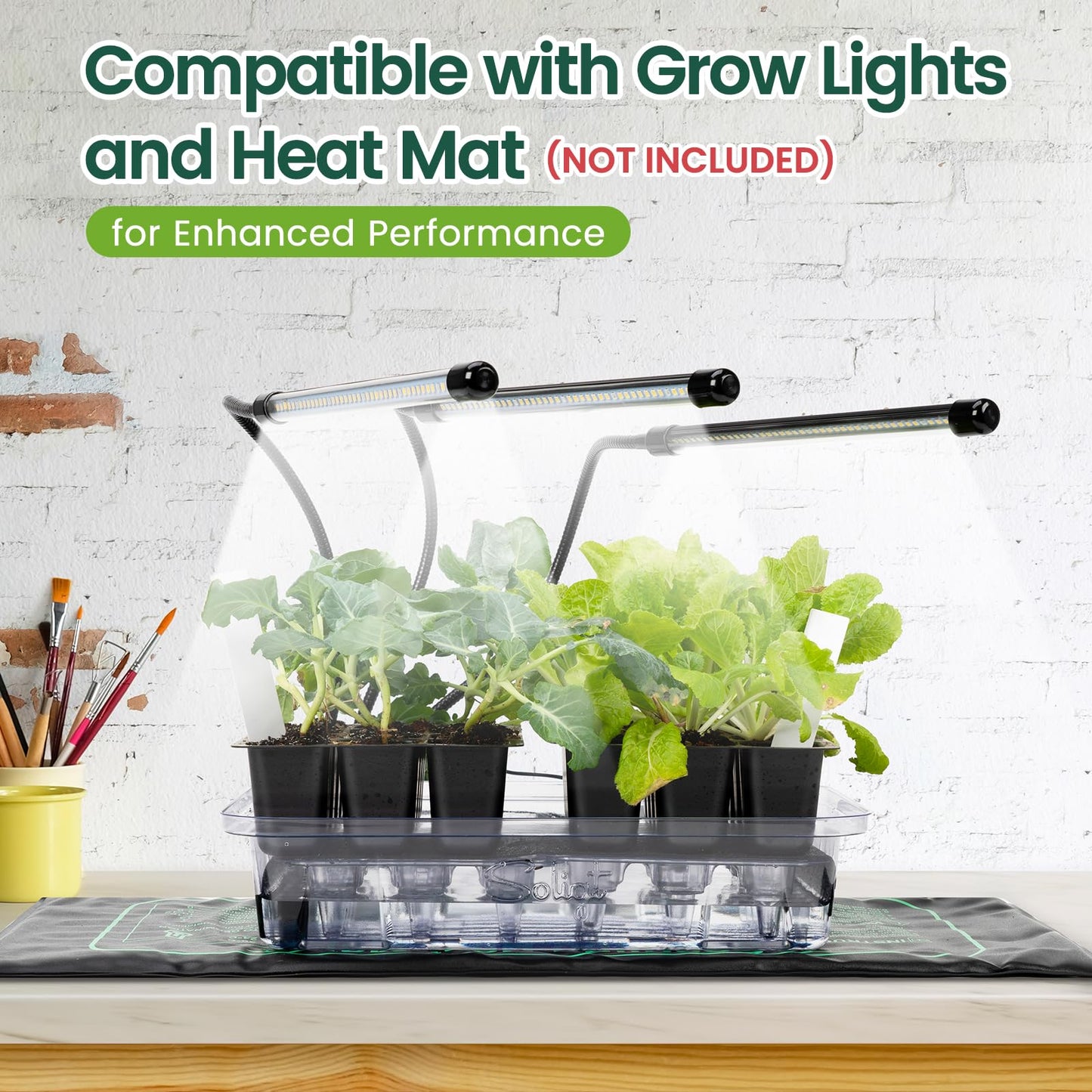 SOLIGT Self Watering Seed Starter Trays with Humidity Domes, Extra Thick Plastic Seed Starter kit for Seed Starting, Plant Germination & Seedling Growing, 3 Pack 72 Cells